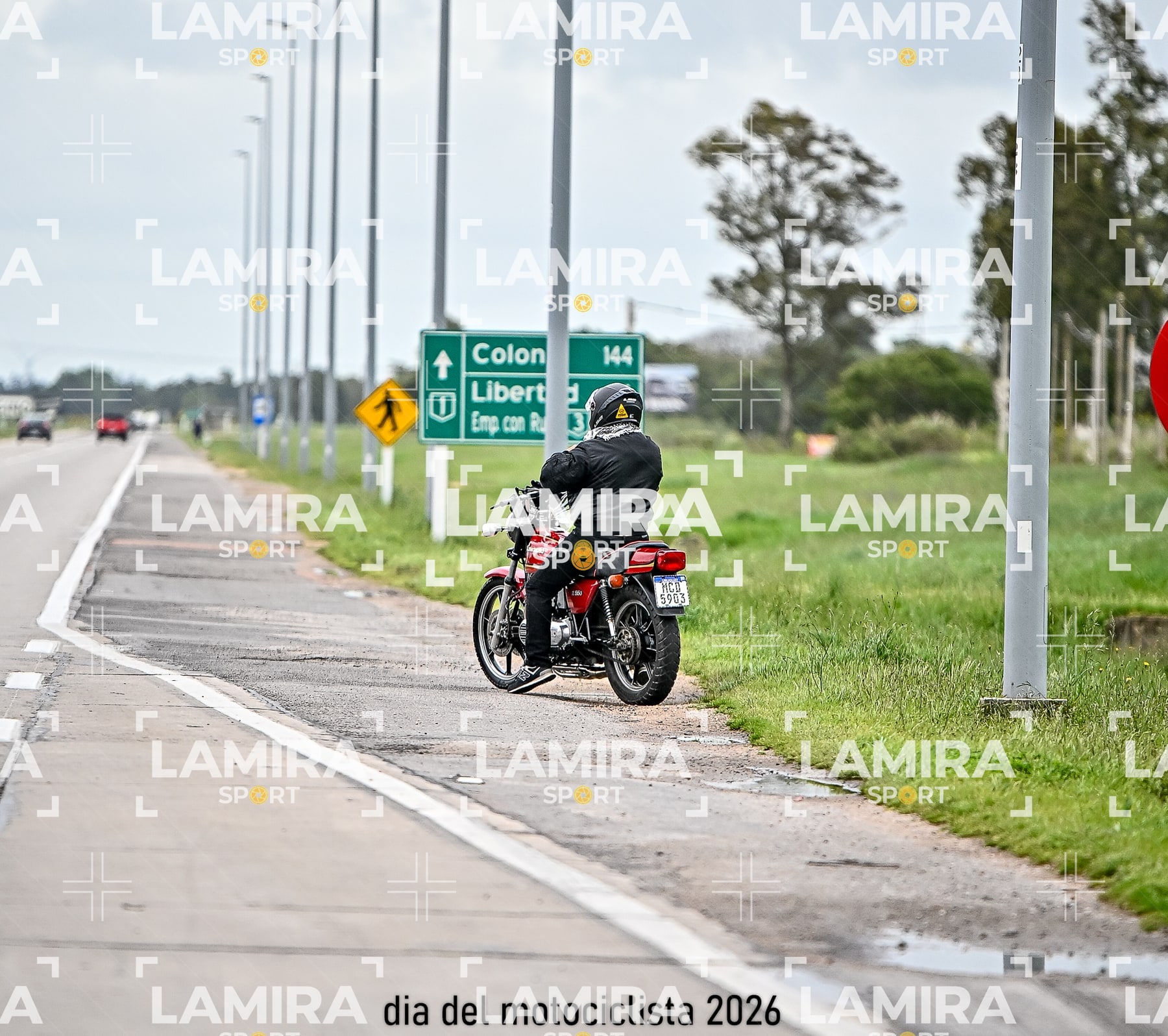 rotonda disa — BCD0866