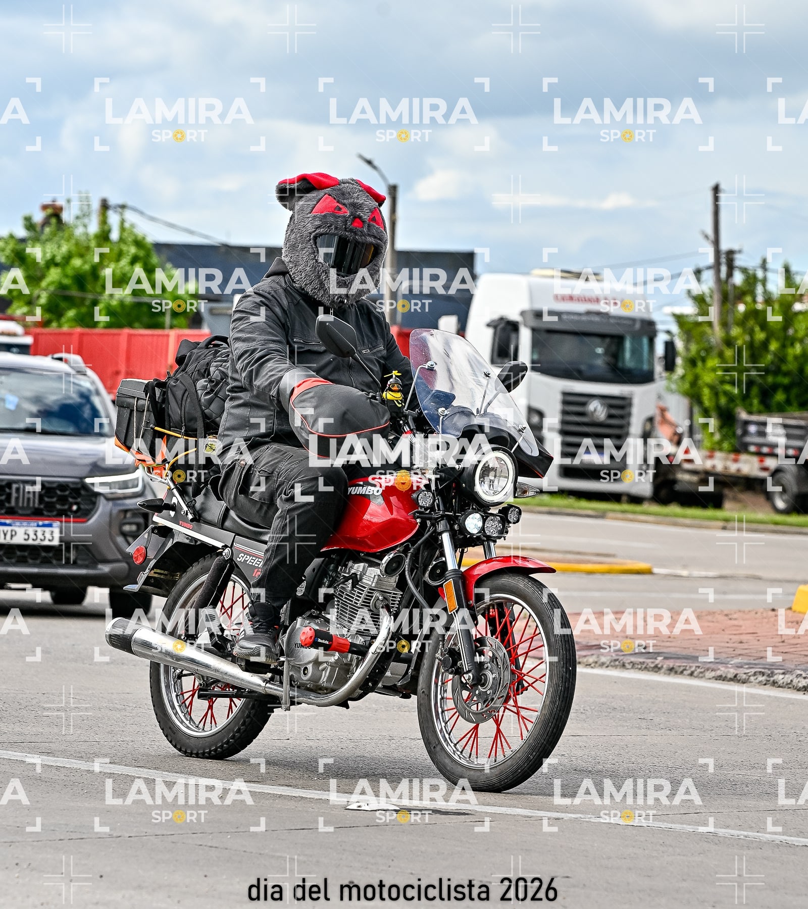 rotonda disa — BCD7830