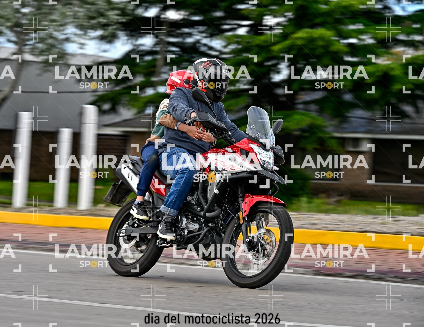 rotonda disa — BCD8401