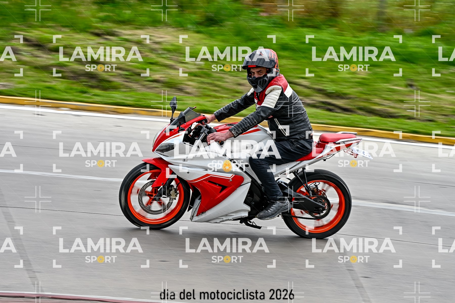 rotonda disa — BCD6233