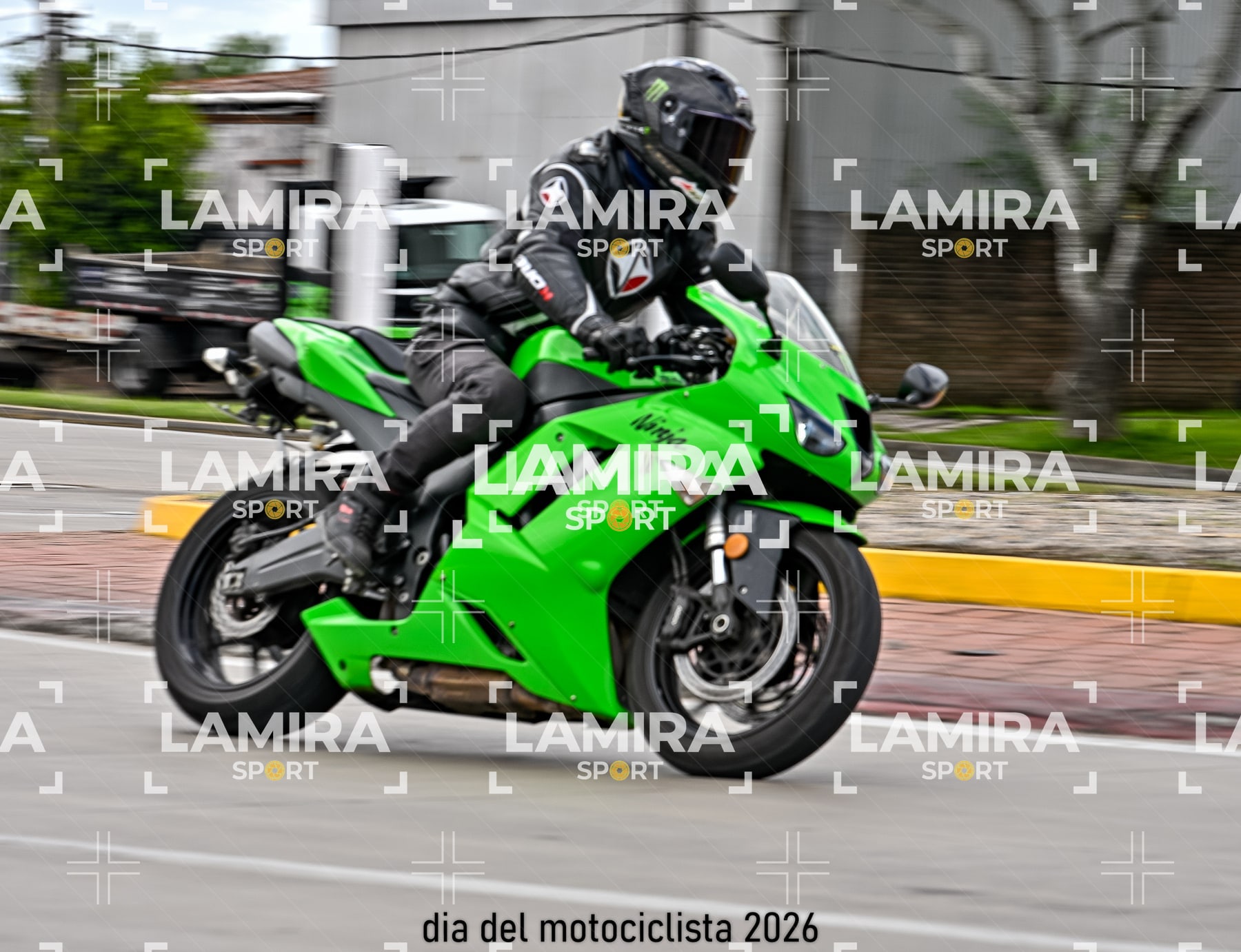 rotonda disa — BCD5397