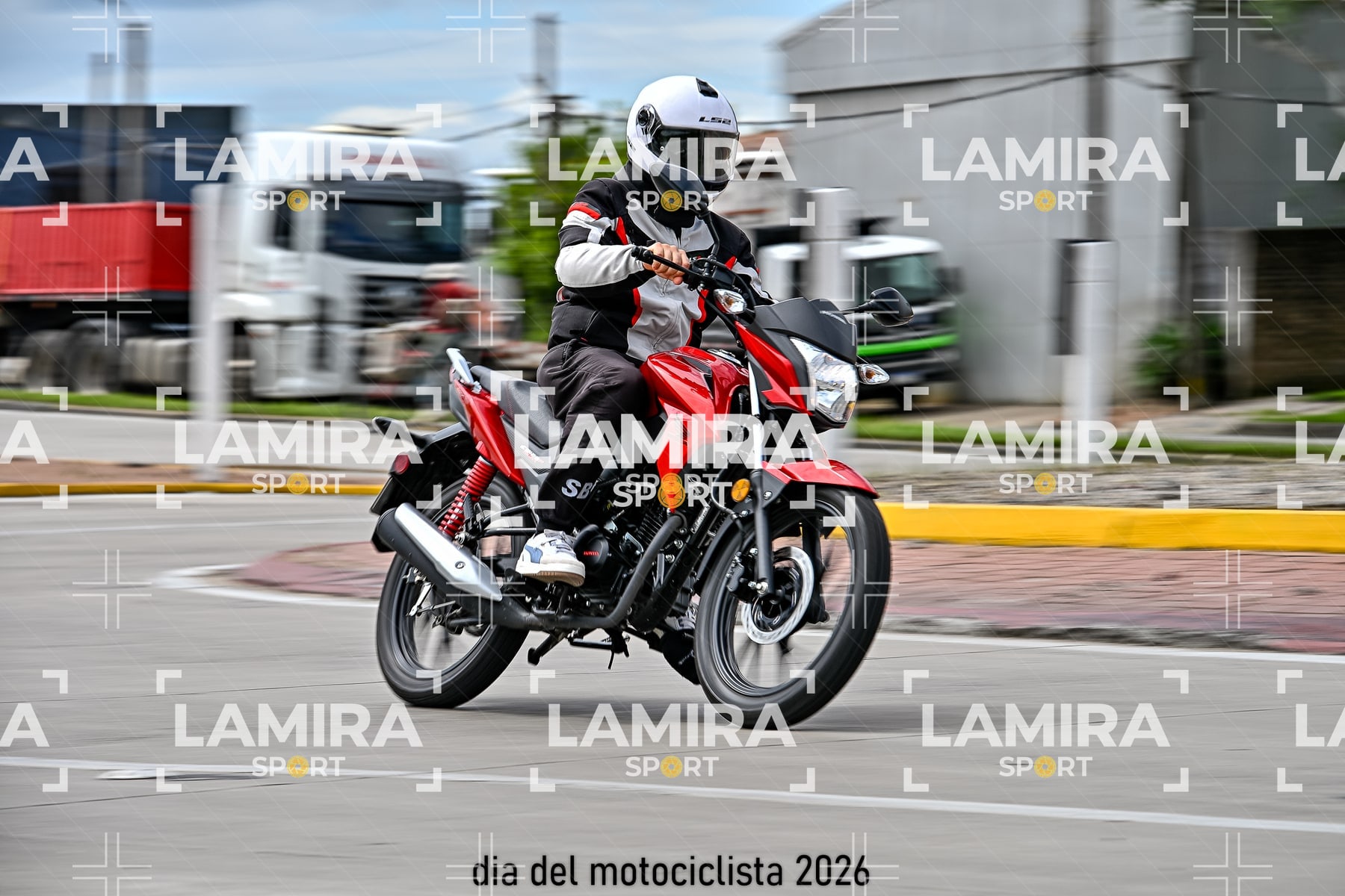 rotonda disa — BCD5841
