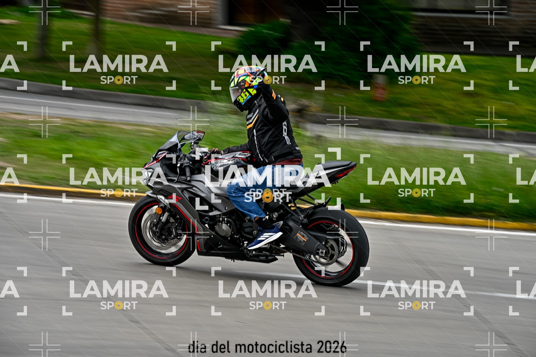 rotonda disa — BCD6182