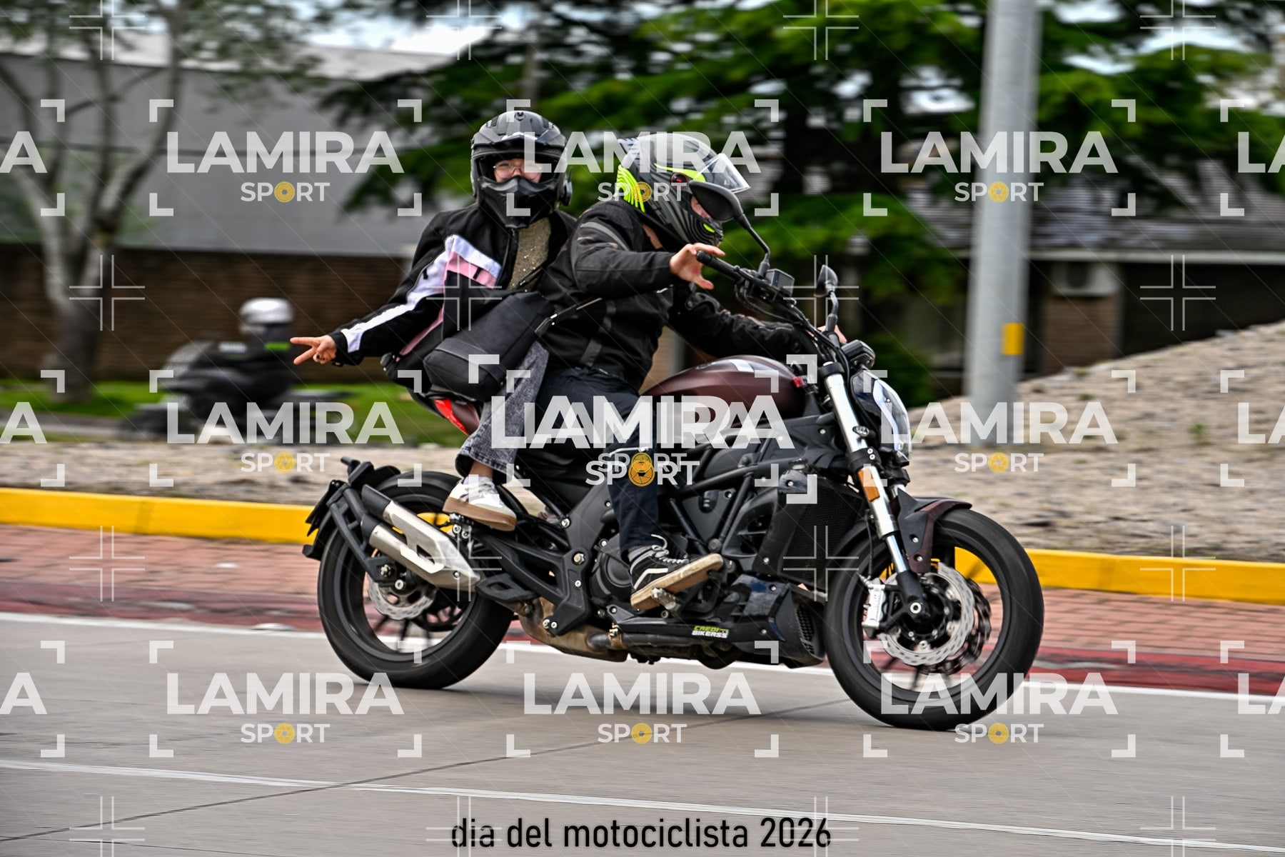 rotonda disa — BCD5523