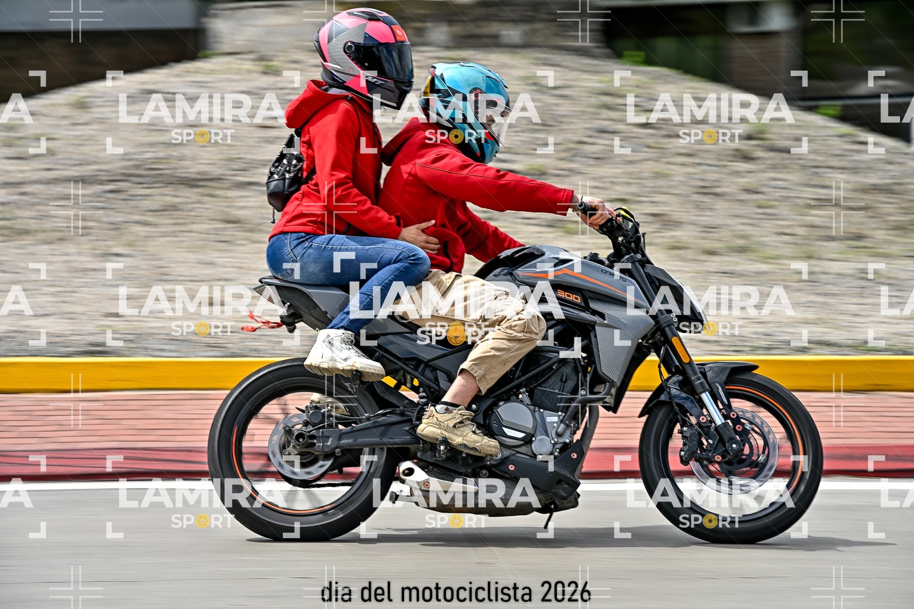 rotonda disa — BCD6300