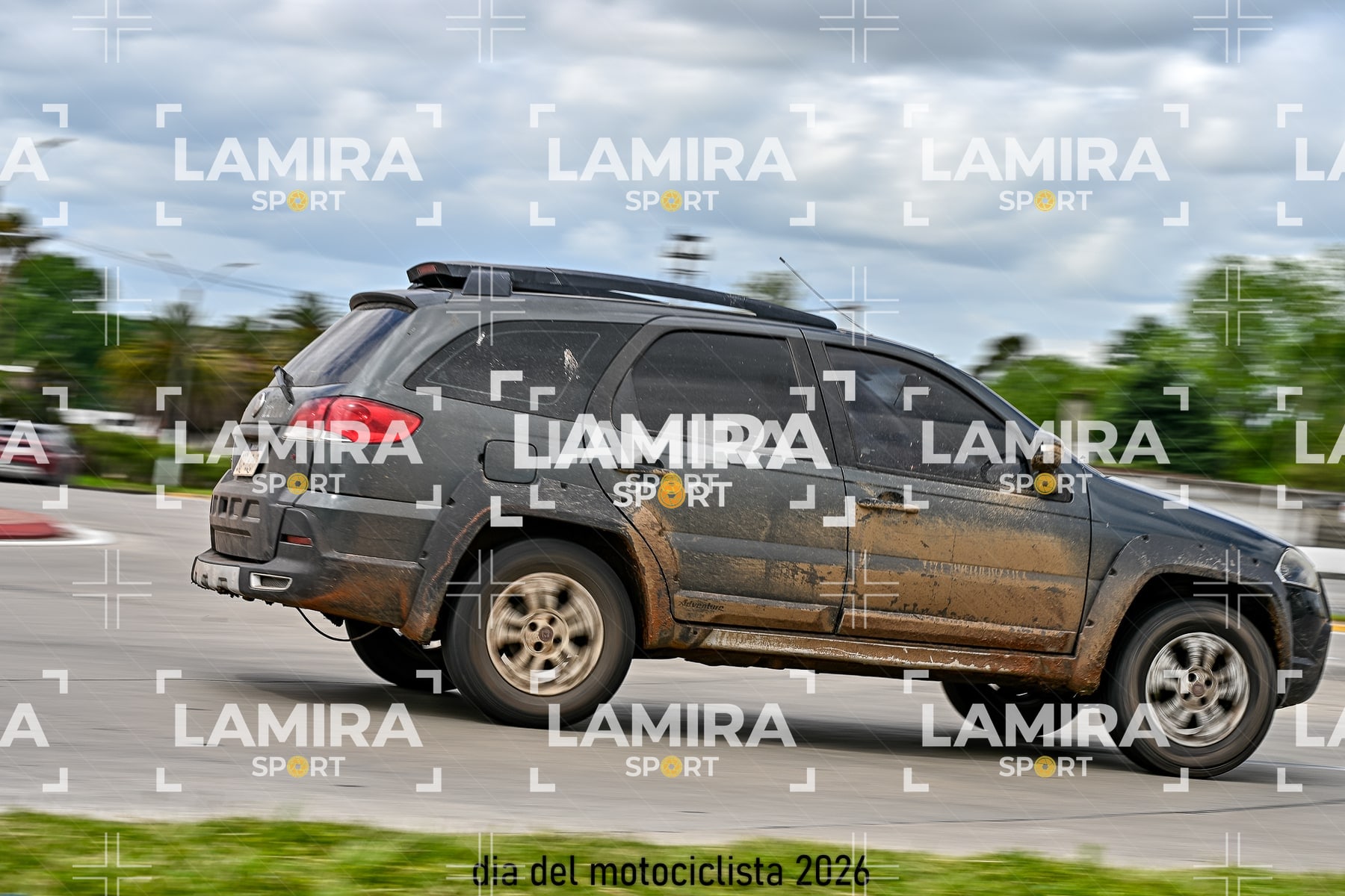 rotonda disa — BCD5998