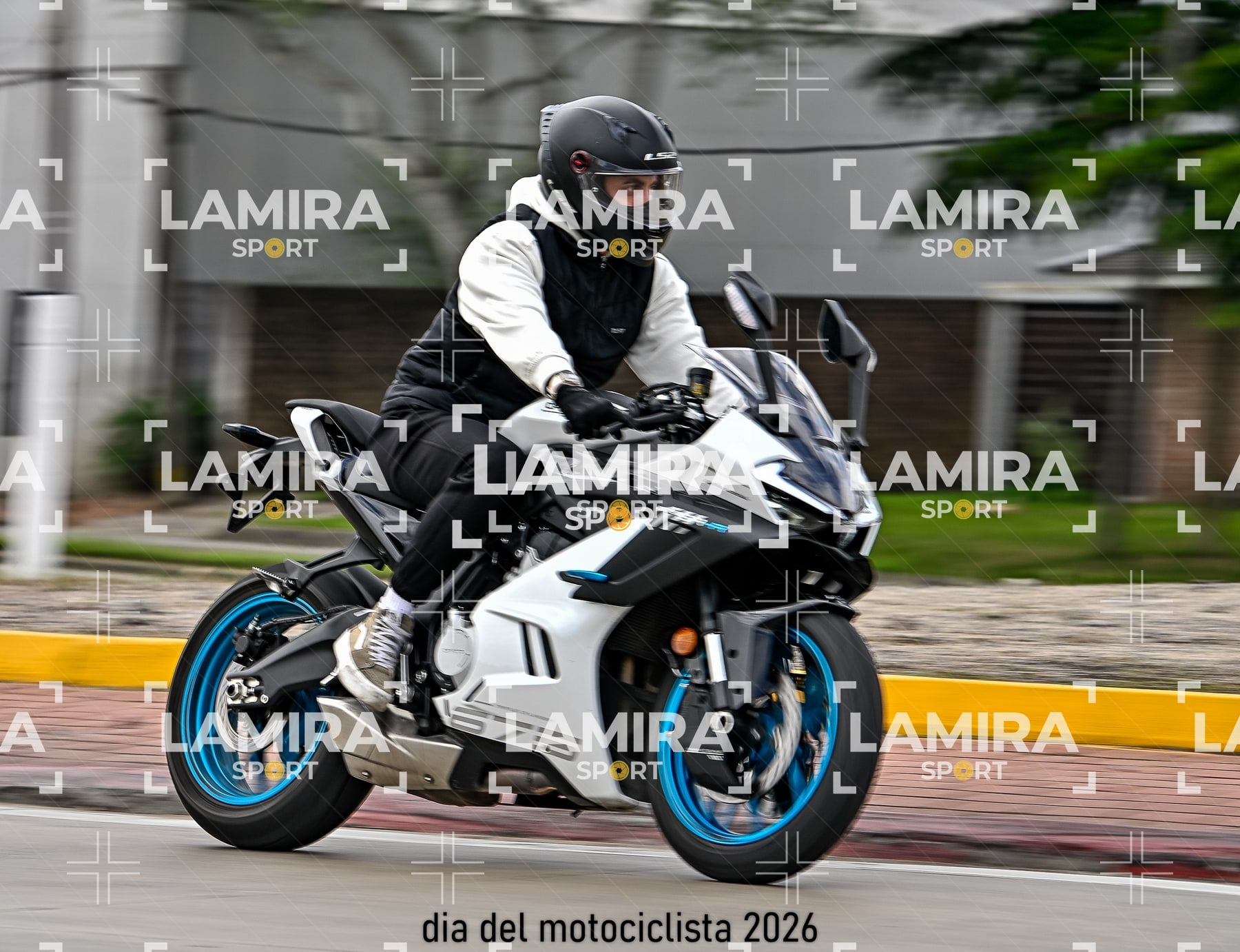 rotonda disa — BCD5418