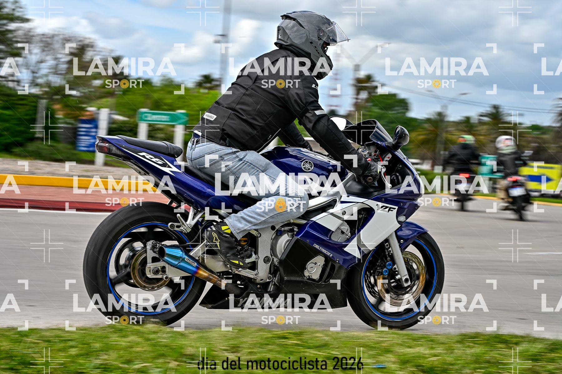 rotonda disa — BCD6012