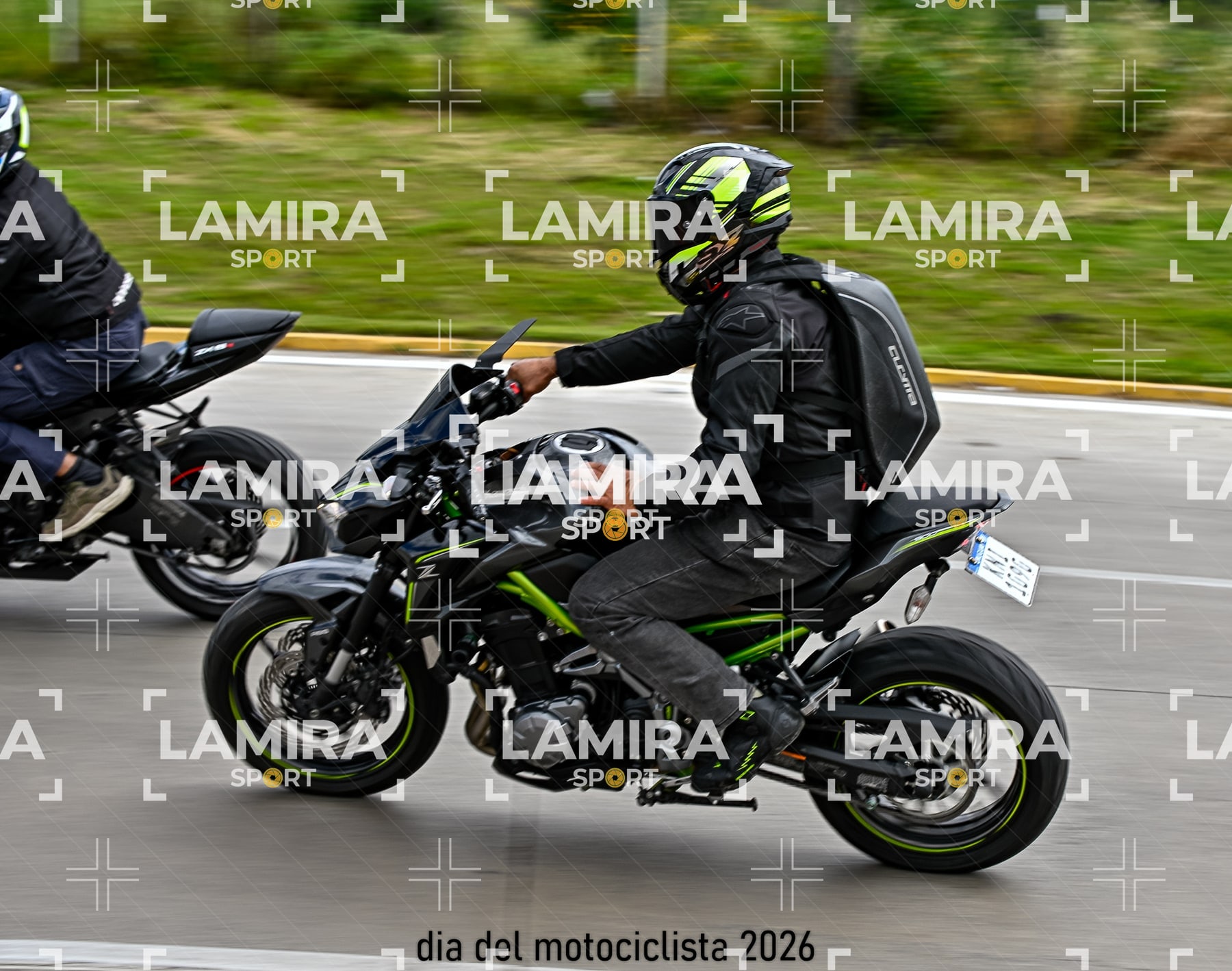 rotonda disa — BCD6195