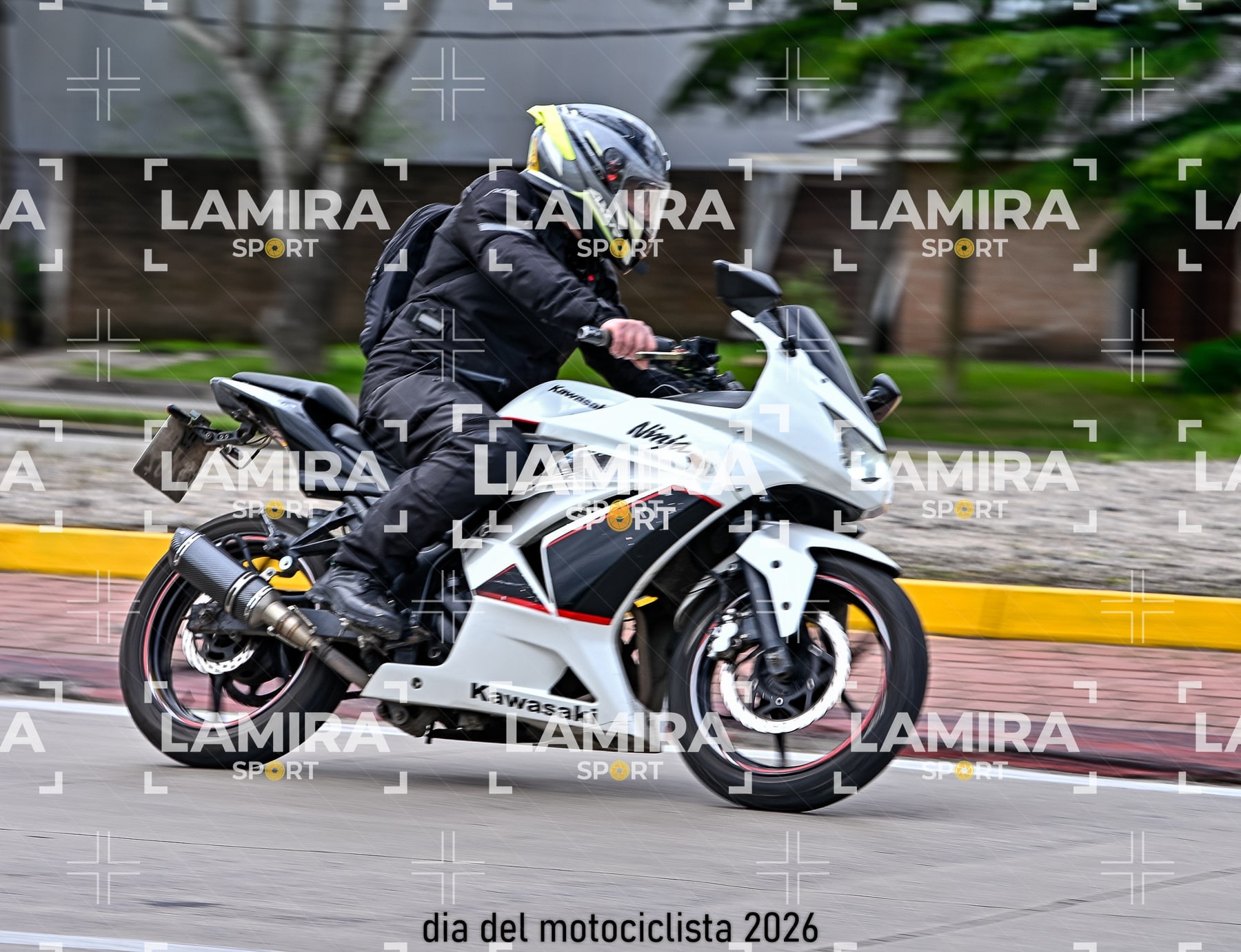 rotonda disa — BCD5142