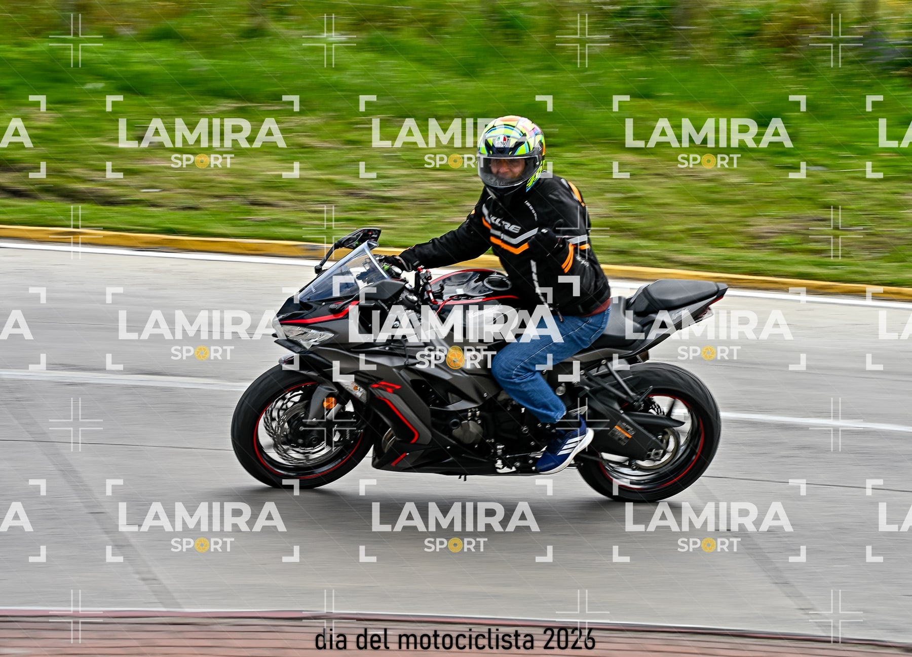 rotonda disa — BCD6163