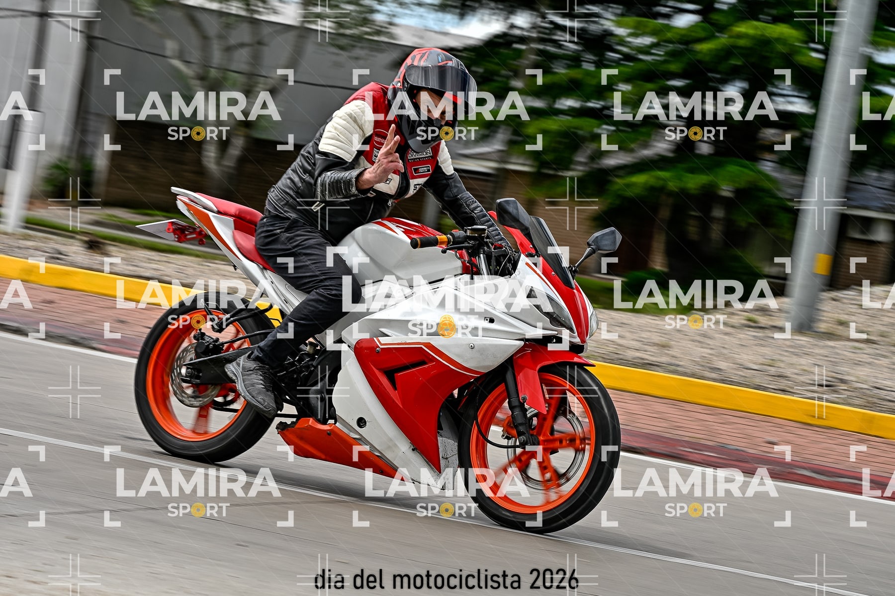 rotonda disa — BCD5924