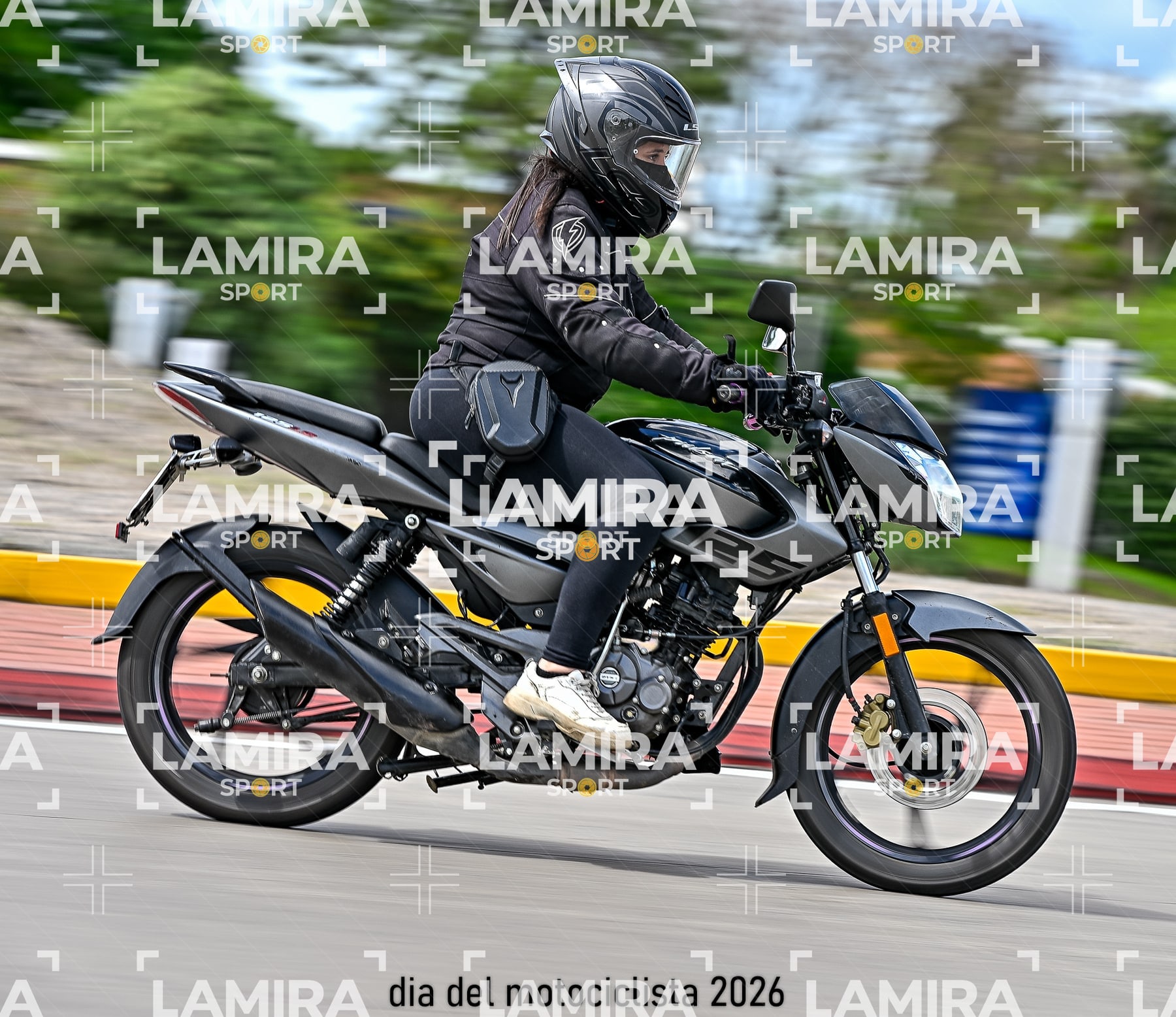 rotonda disa — BCD6605