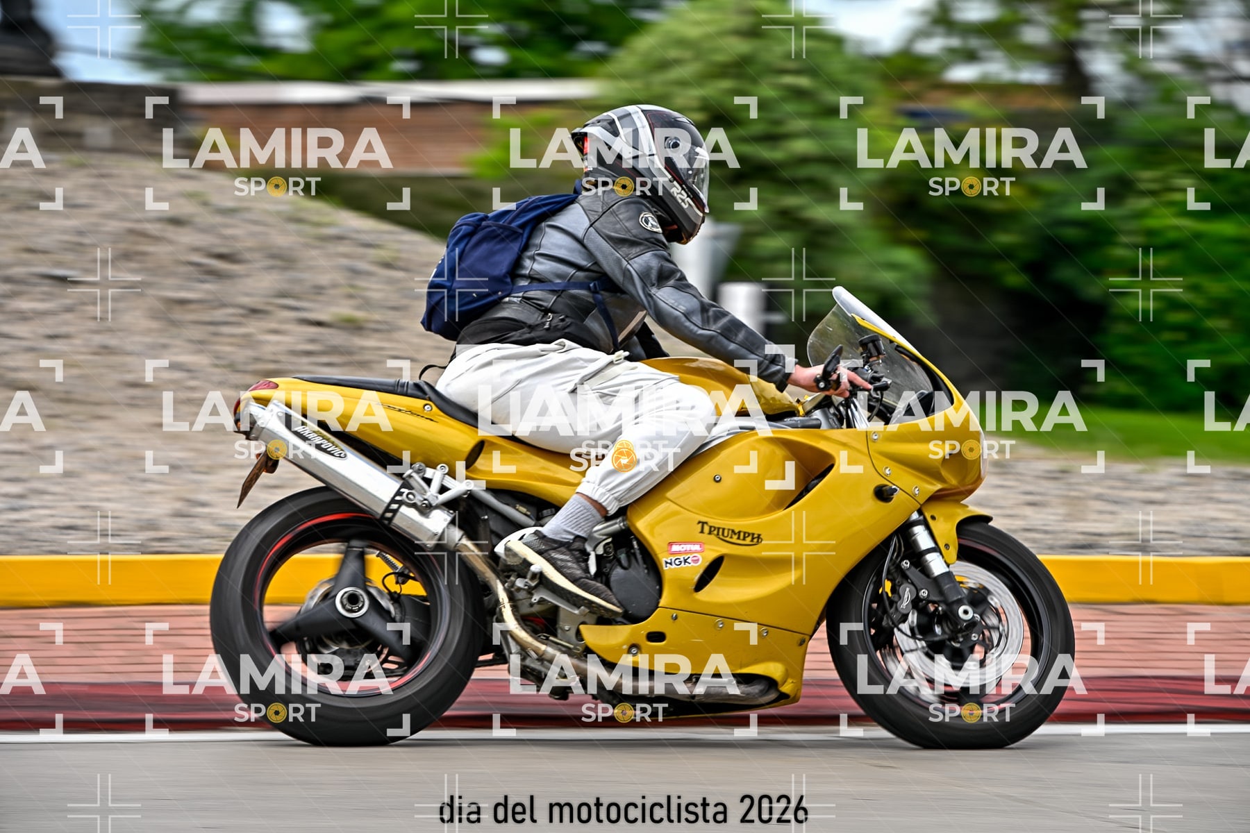 rotonda disa — BCD5169