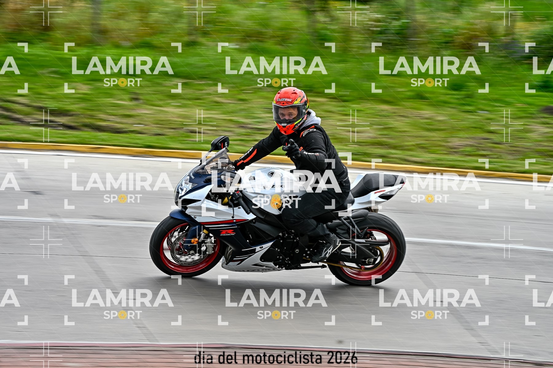 rotonda disa — BCD6150