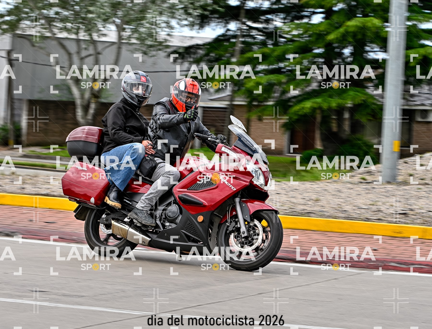 rotonda disa — BCD5211