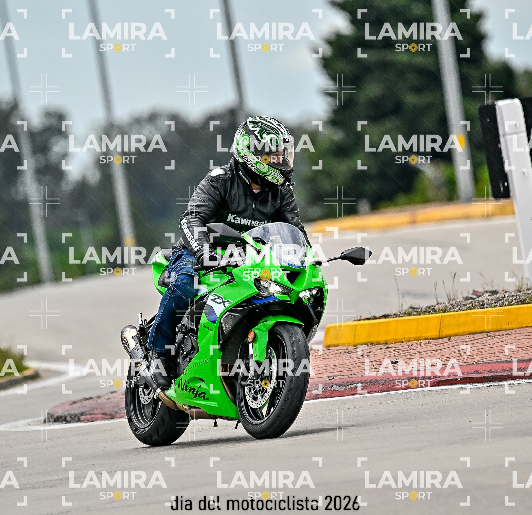 rotonda disa — BCD4710