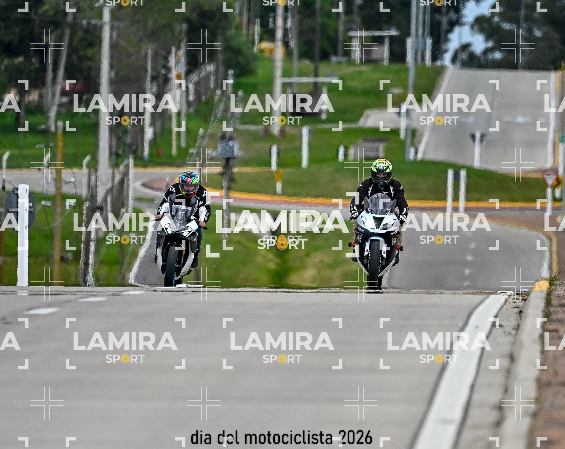 rotonda disa — BCD4909