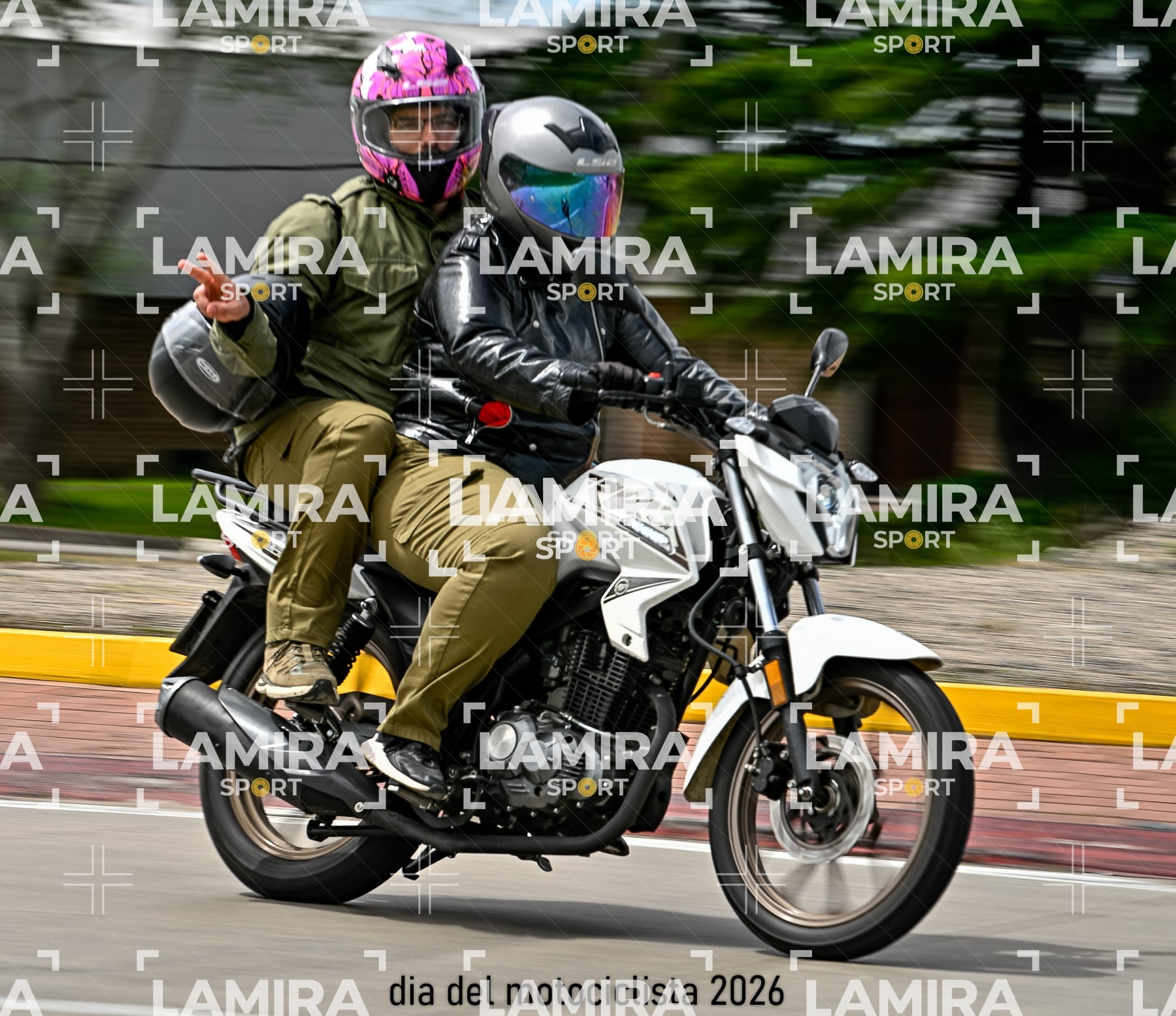 rotonda disa — BCD5815