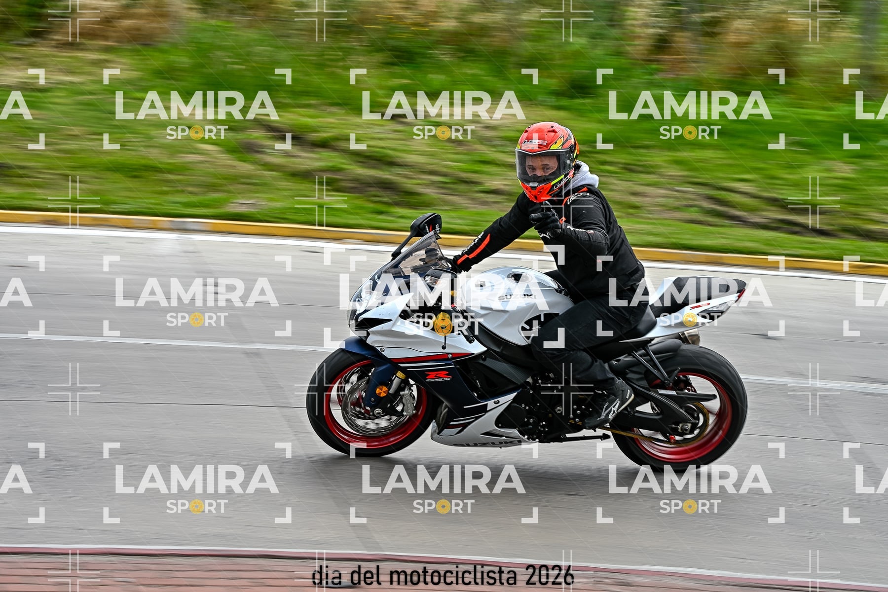 rotonda disa — BCD6154
