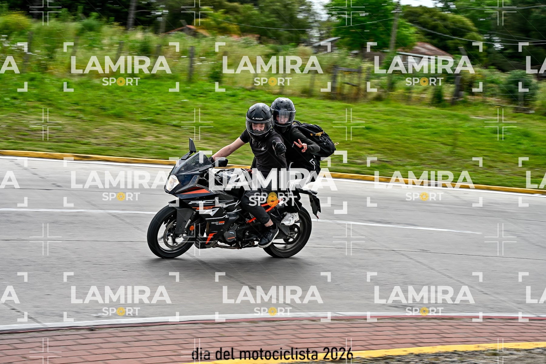 rotonda disa — BCD6202