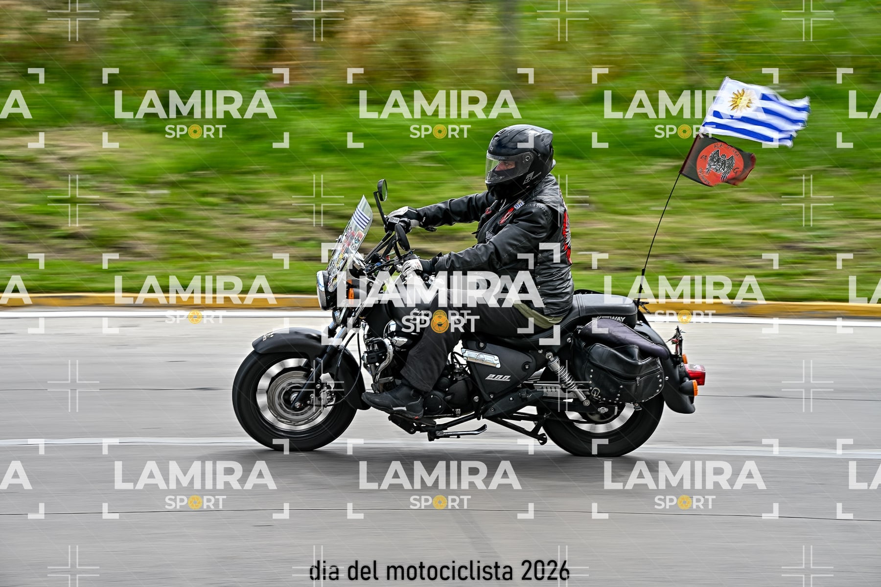 rotonda disa — BCD6244