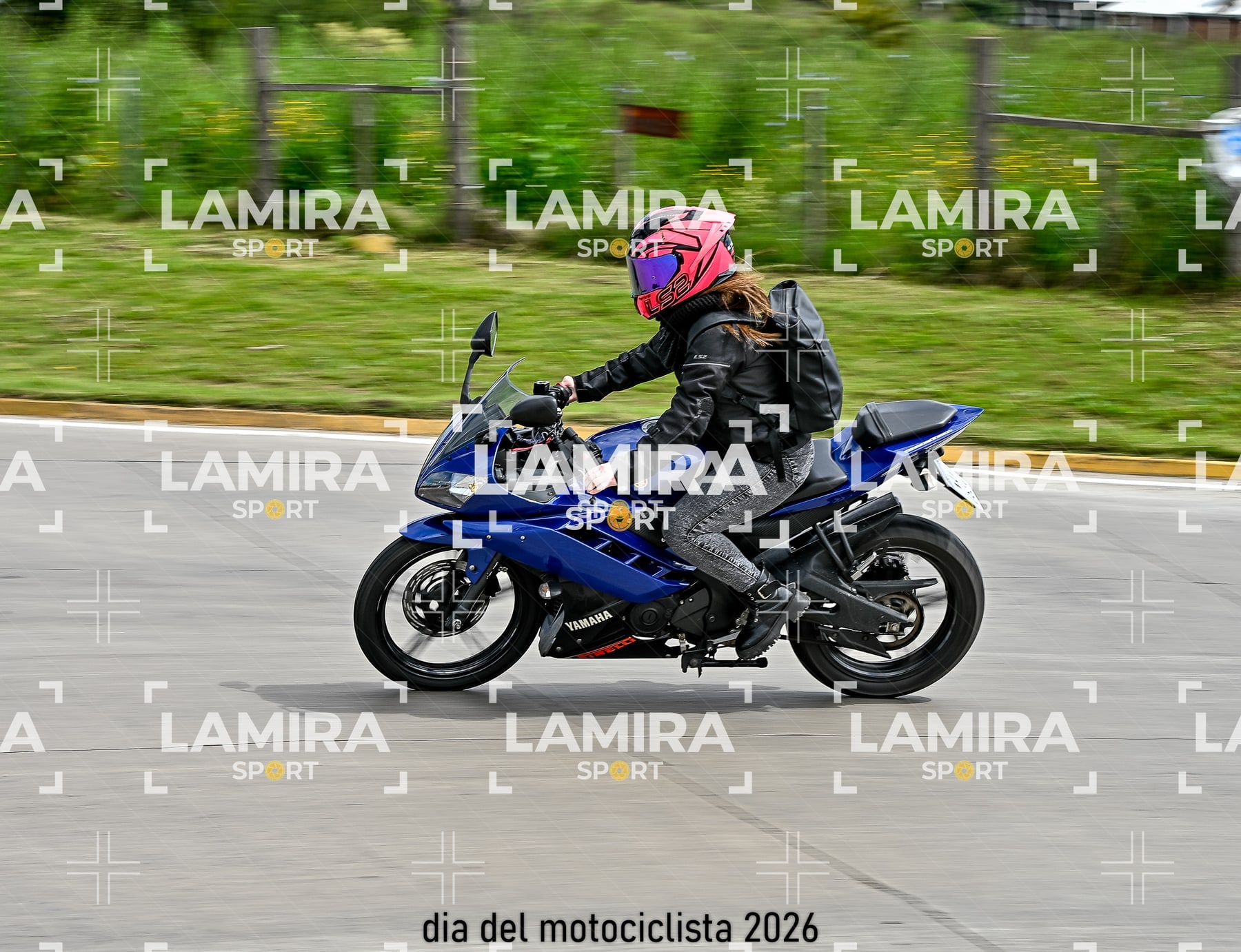 rotonda disa — BCD6281