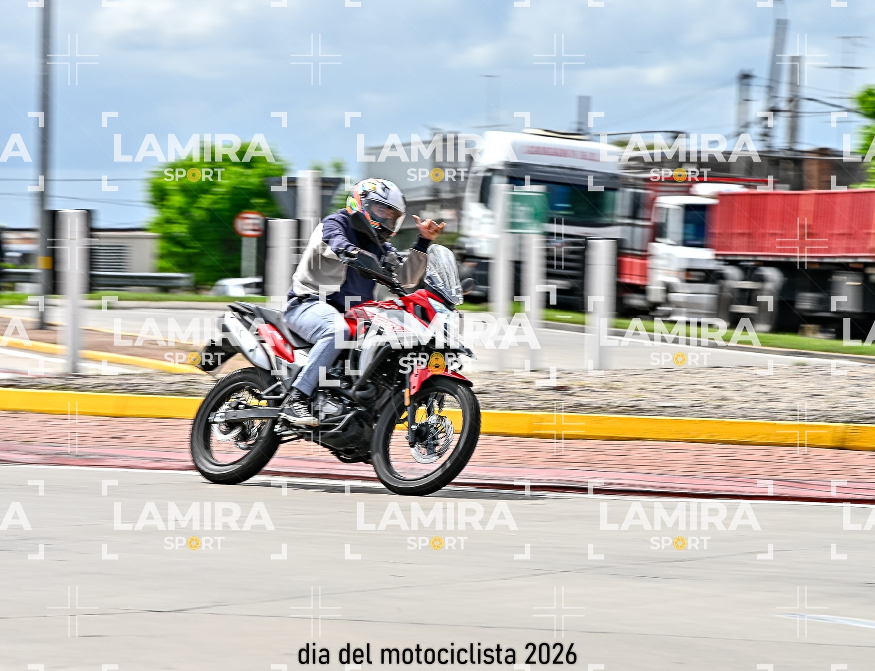 rotonda disa — BCD6313