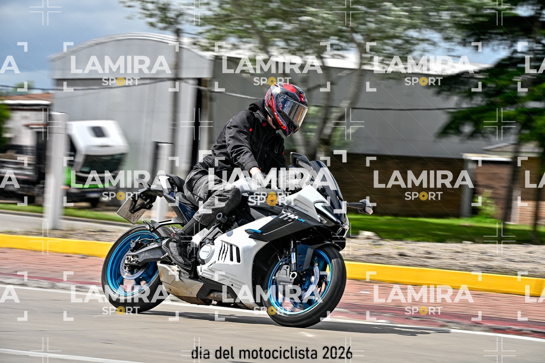 rotonda disa — BCD6680