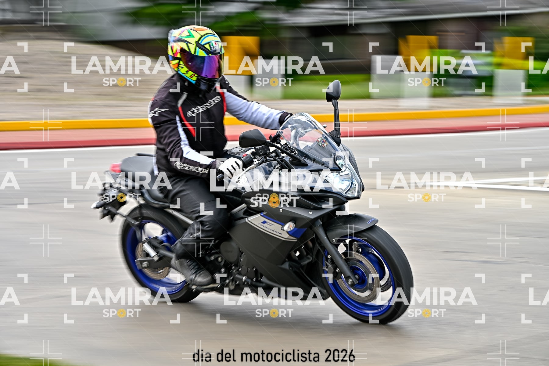 rotonda disa — BCD6094