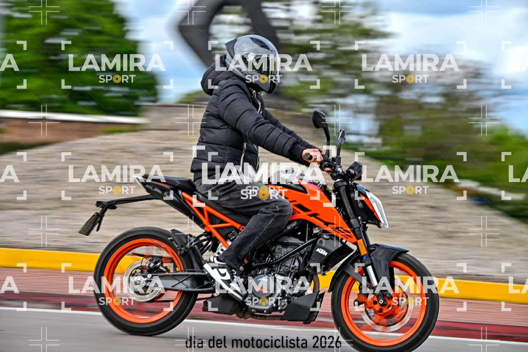 rotonda disa — BCD8300