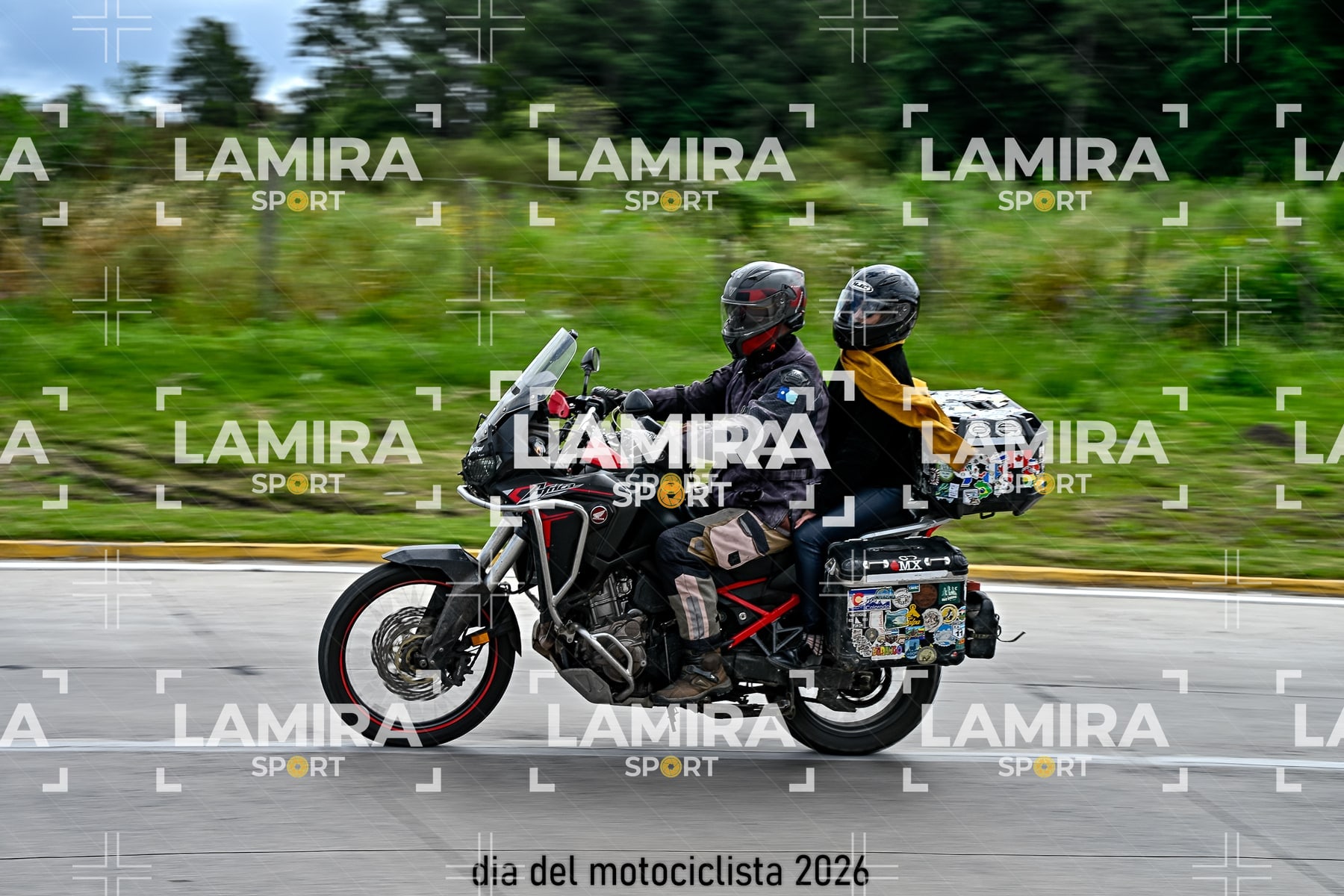 rotonda disa — BCD6186