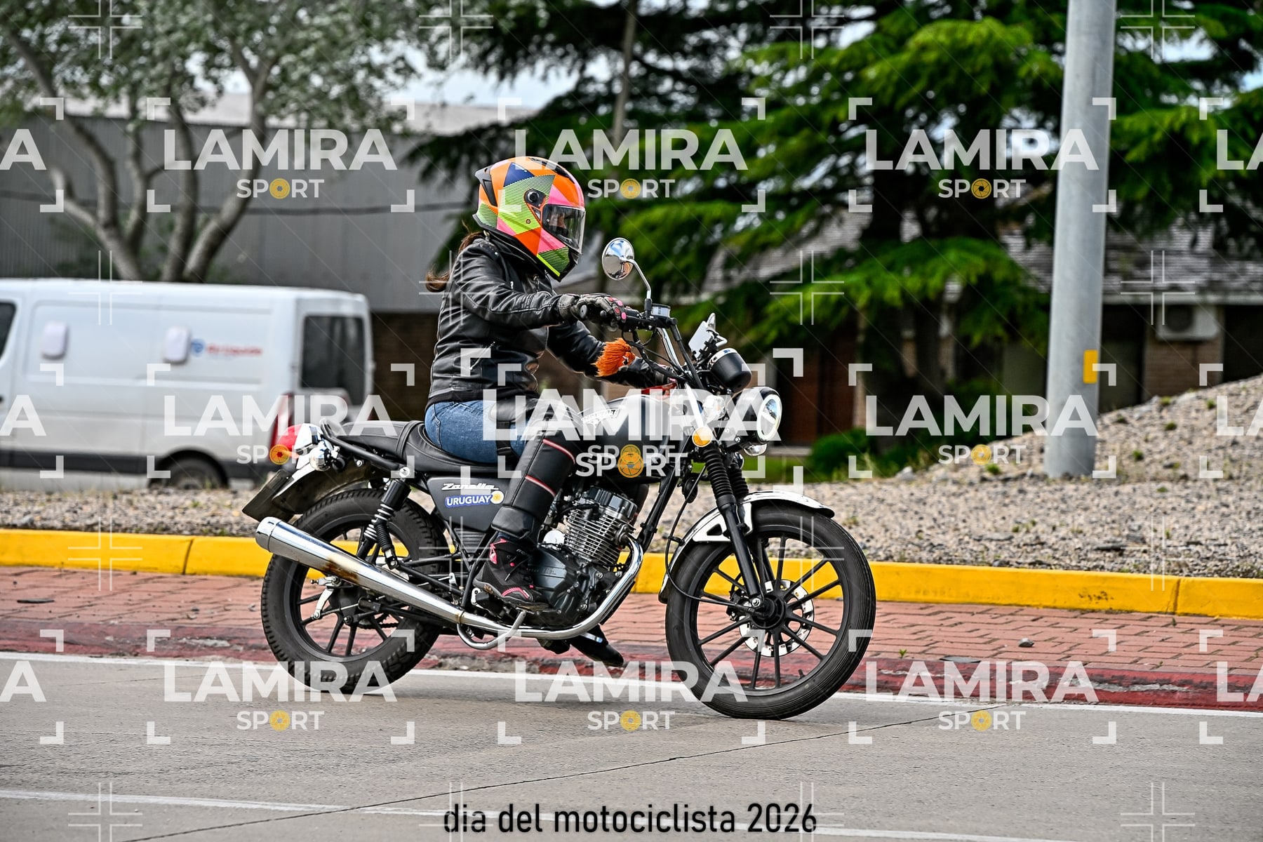 rotonda disa — BCD6420