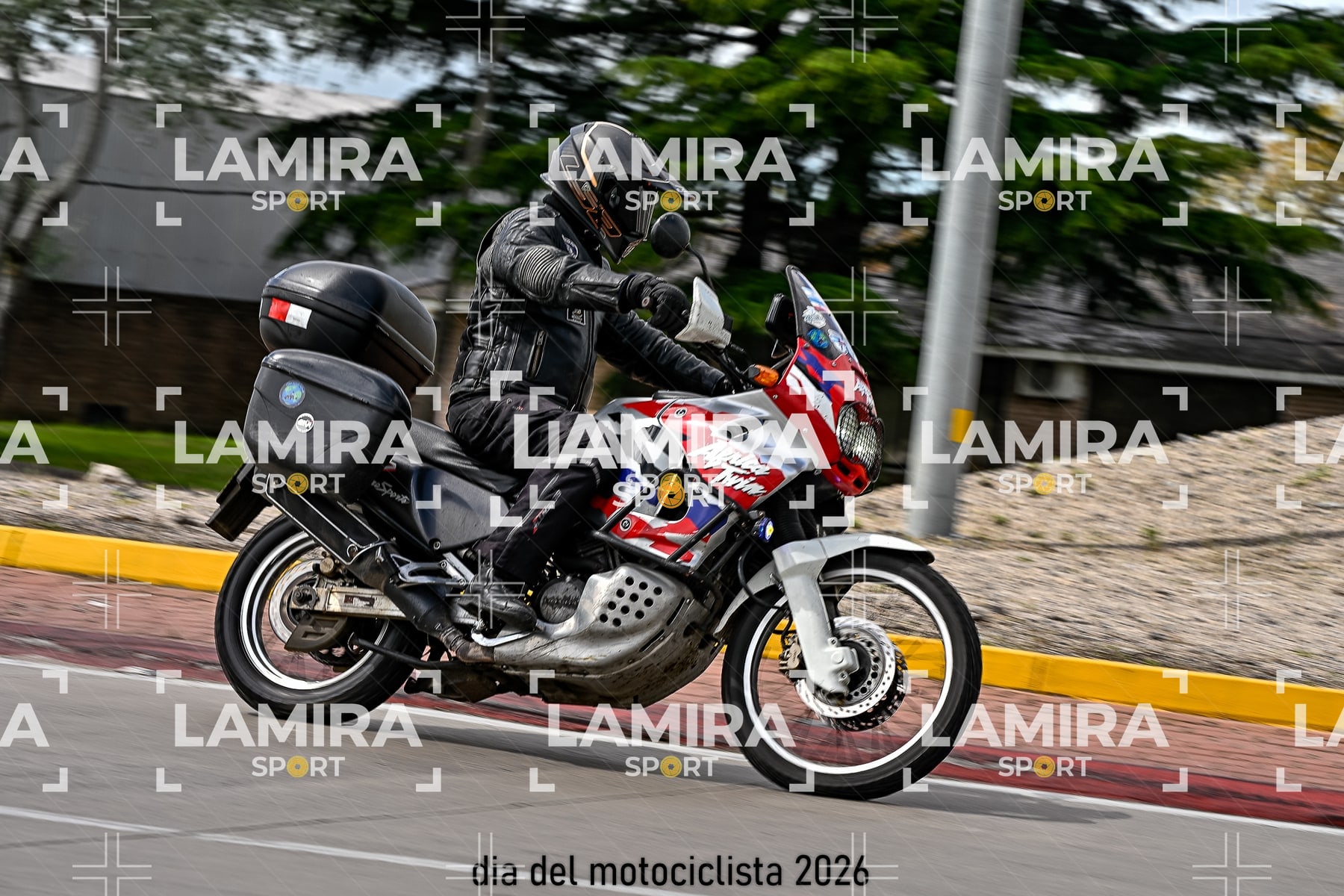 rotonda disa — BCD6815