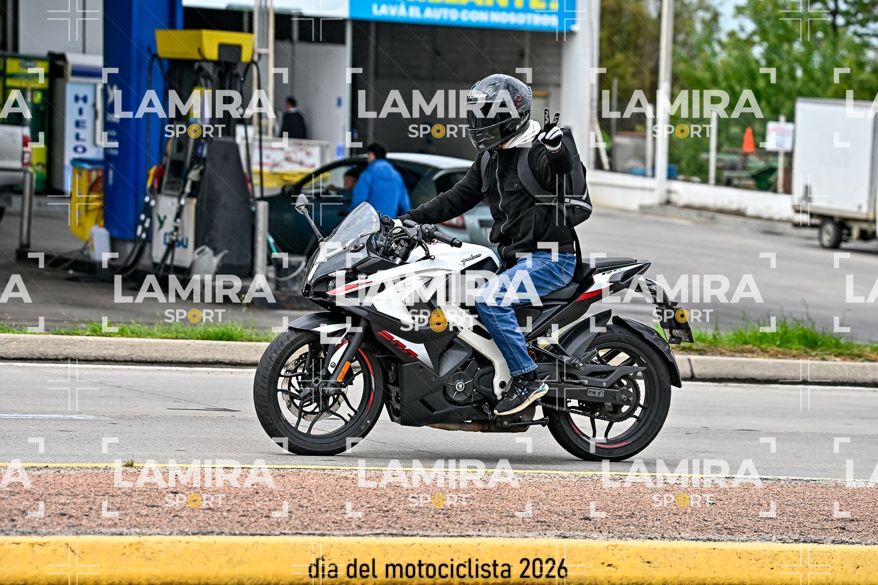 rotonda disa — BCD4778