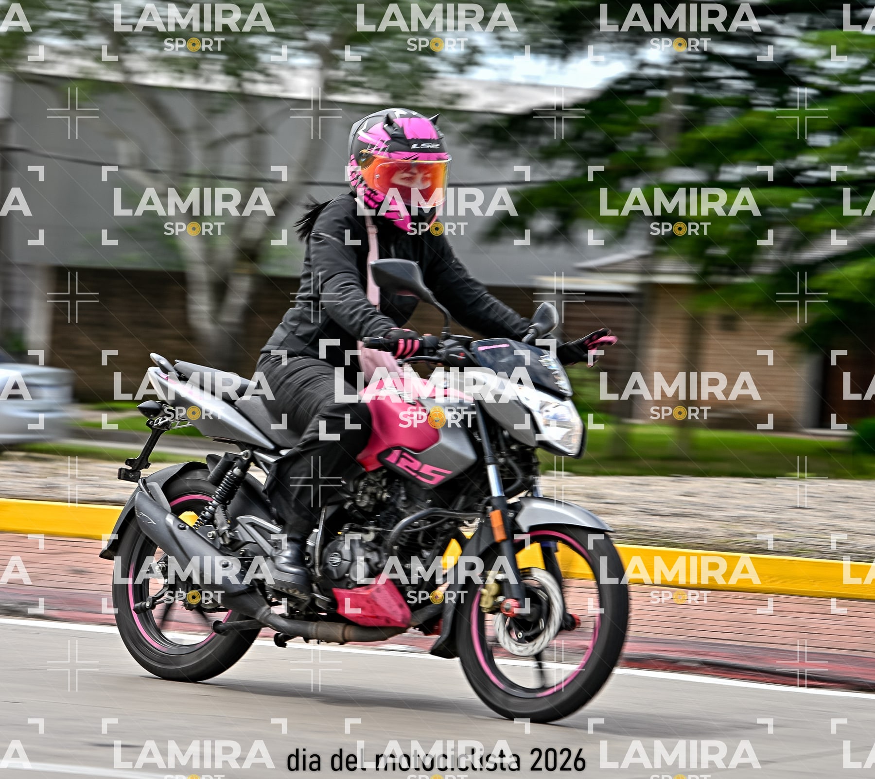 rotonda disa — BCD5590