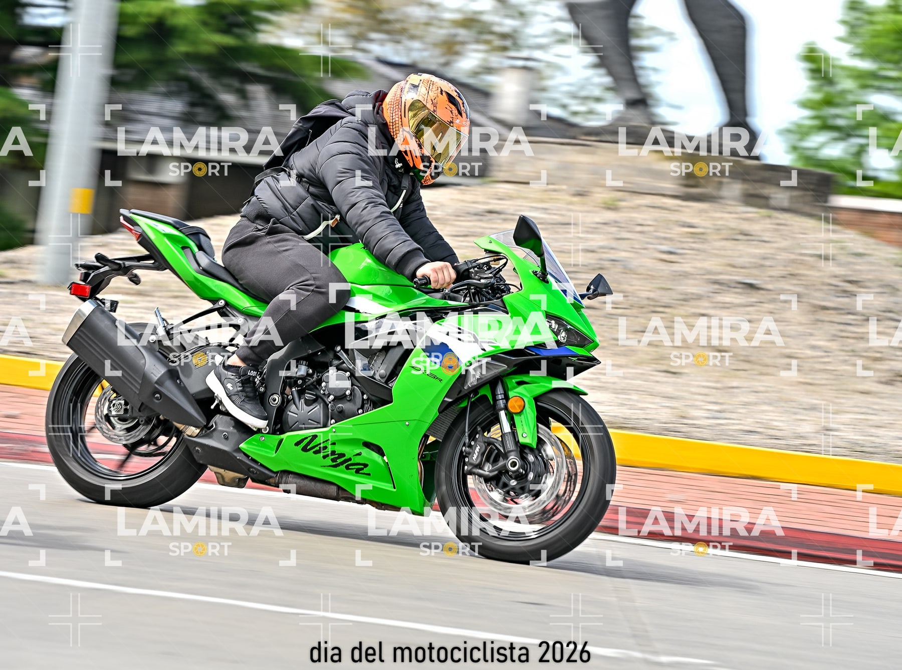 rotonda disa — BCD7172