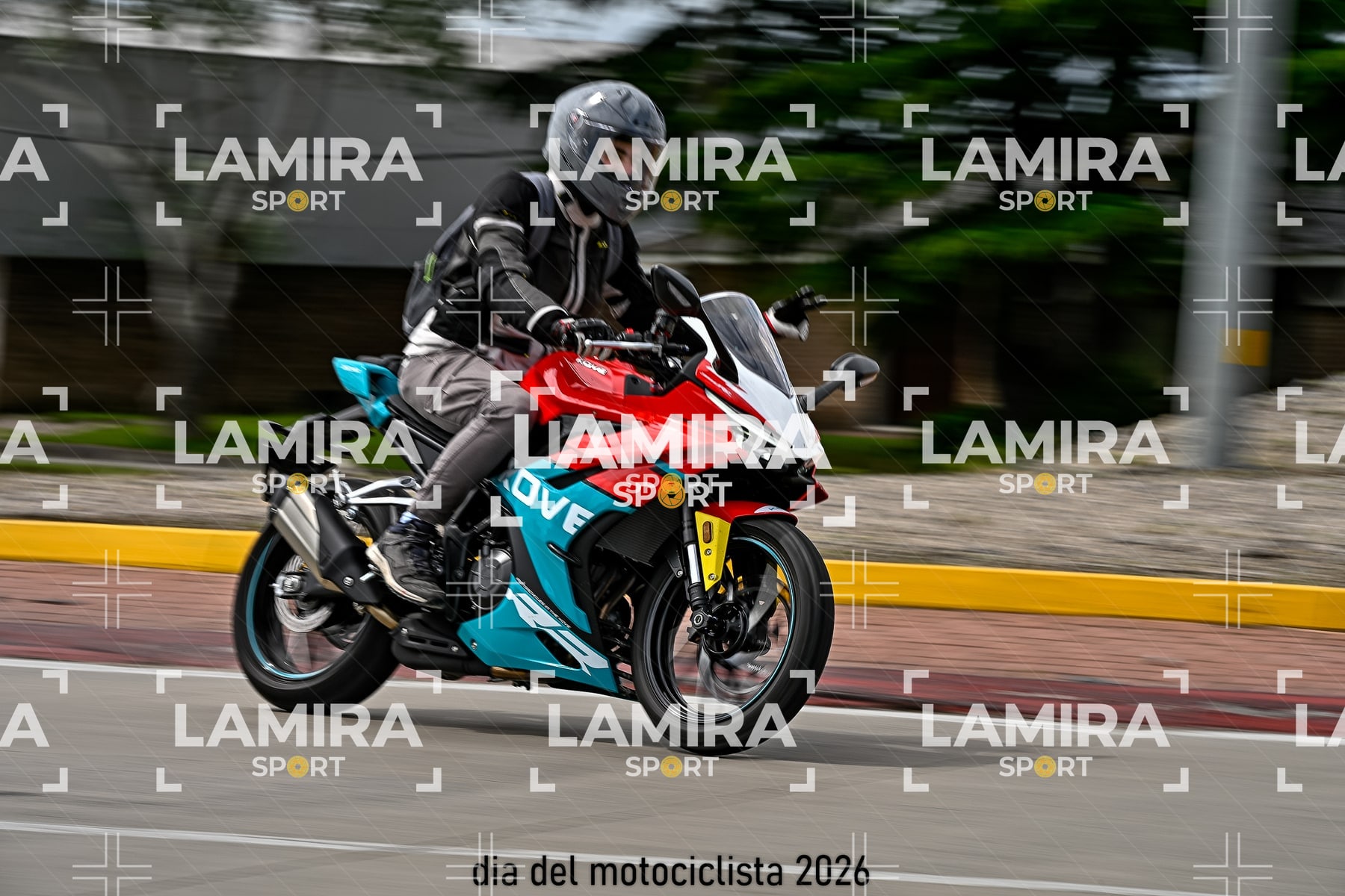 rotonda disa — BCD6355