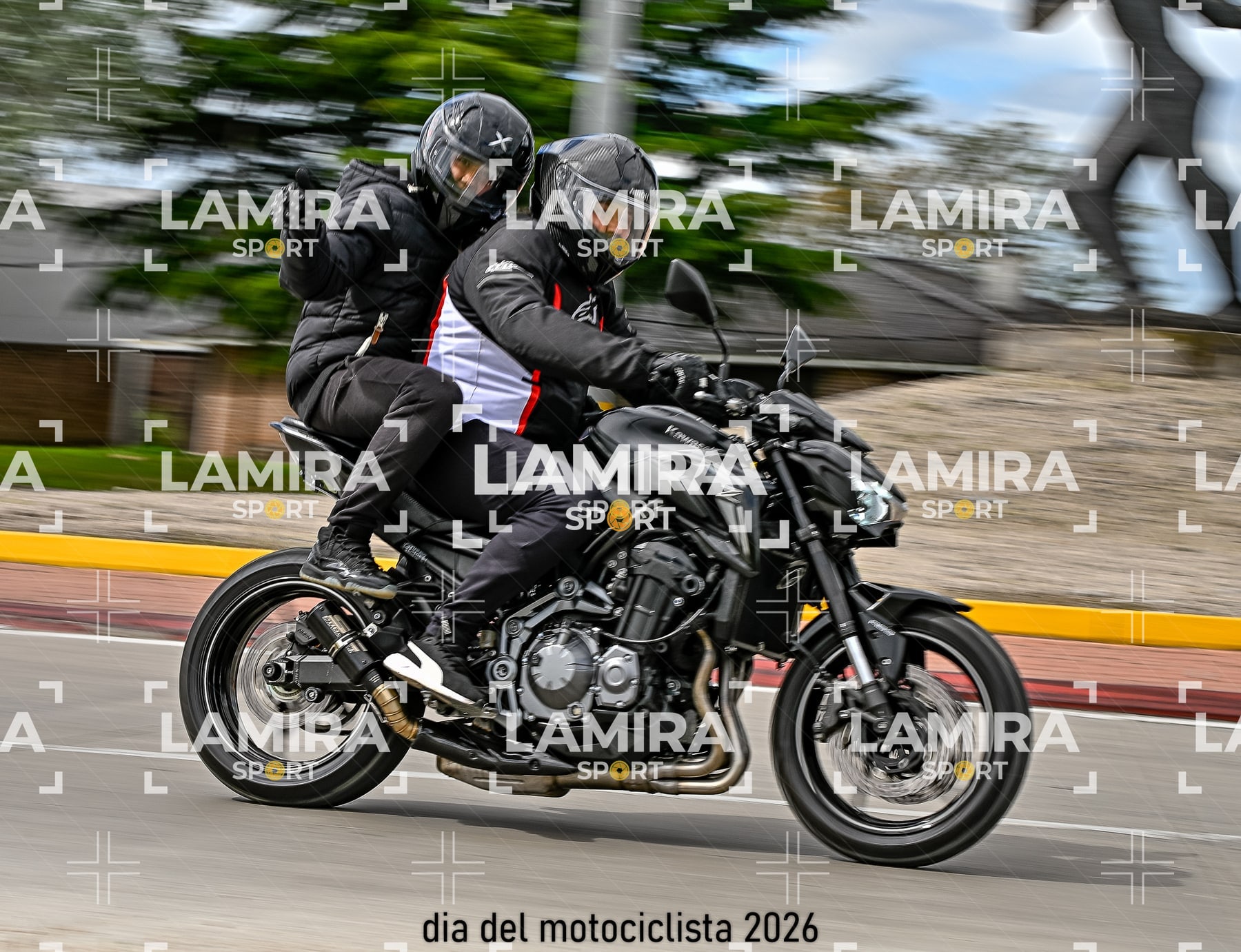 rotonda disa — BCD7314