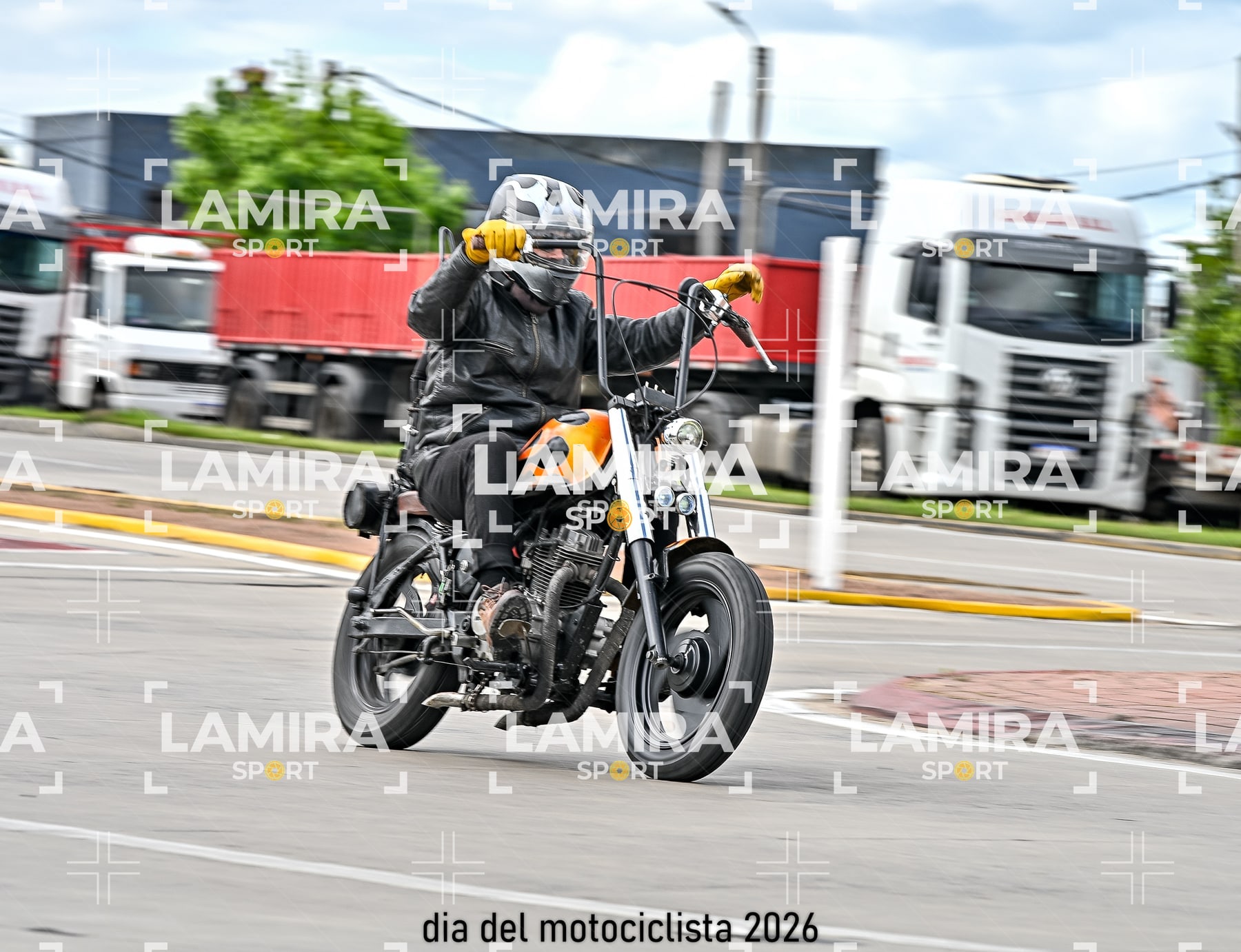 rotonda disa — BCD7513