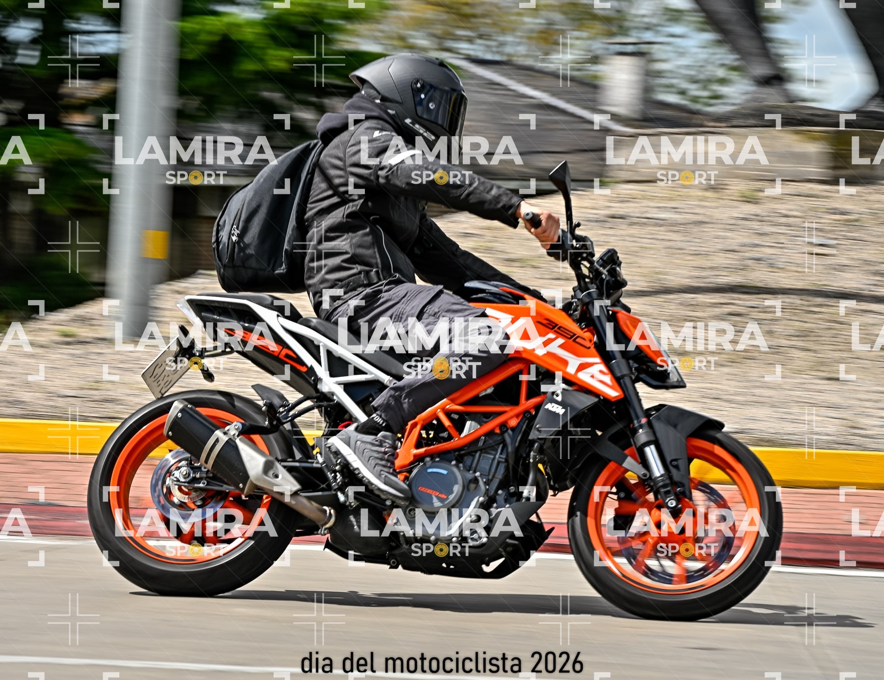 rotonda disa — BCD6694
