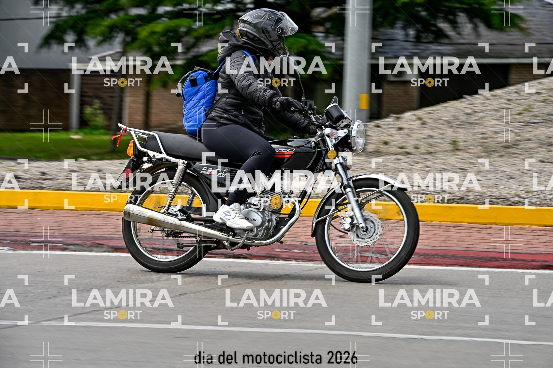 rotonda disa — BCD5891