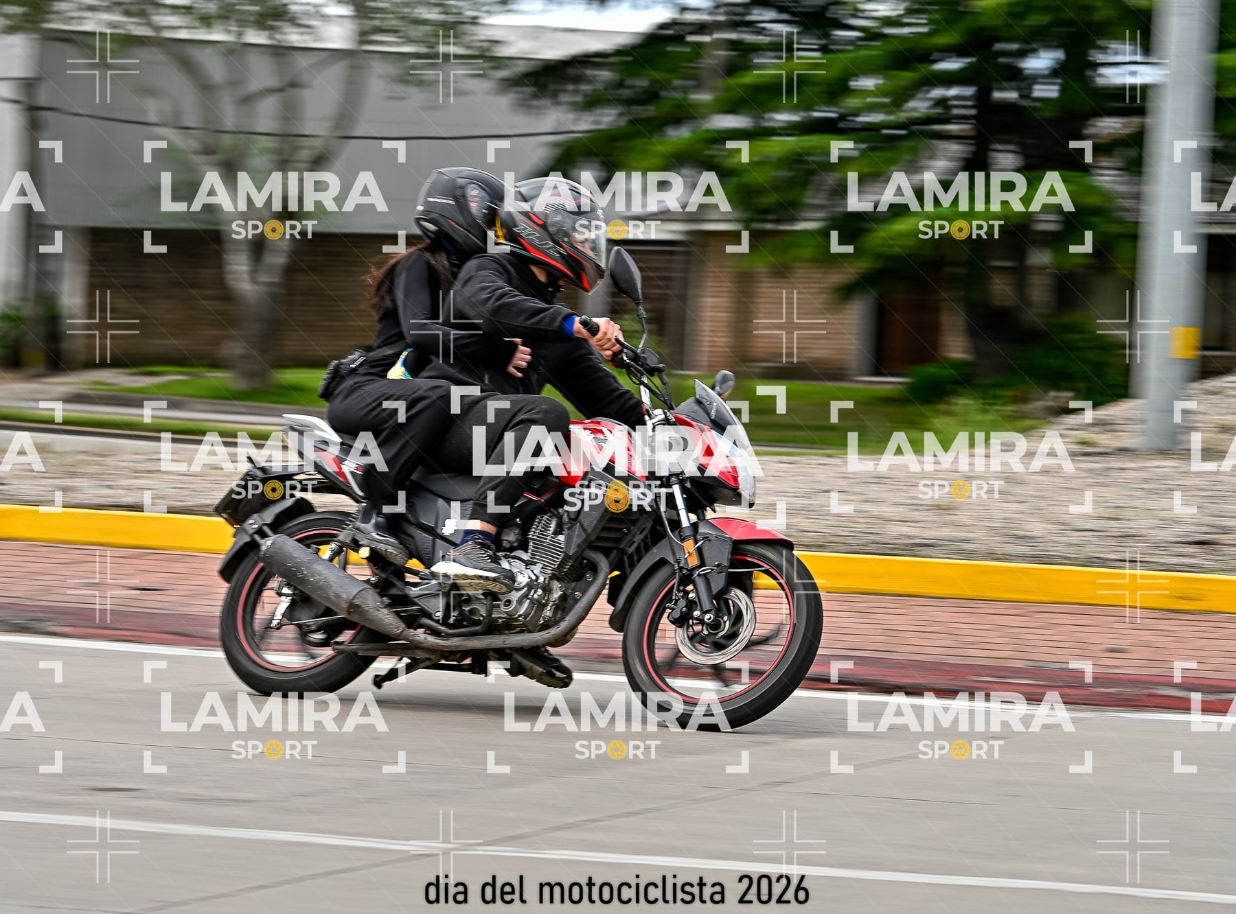 rotonda disa — BCD5084