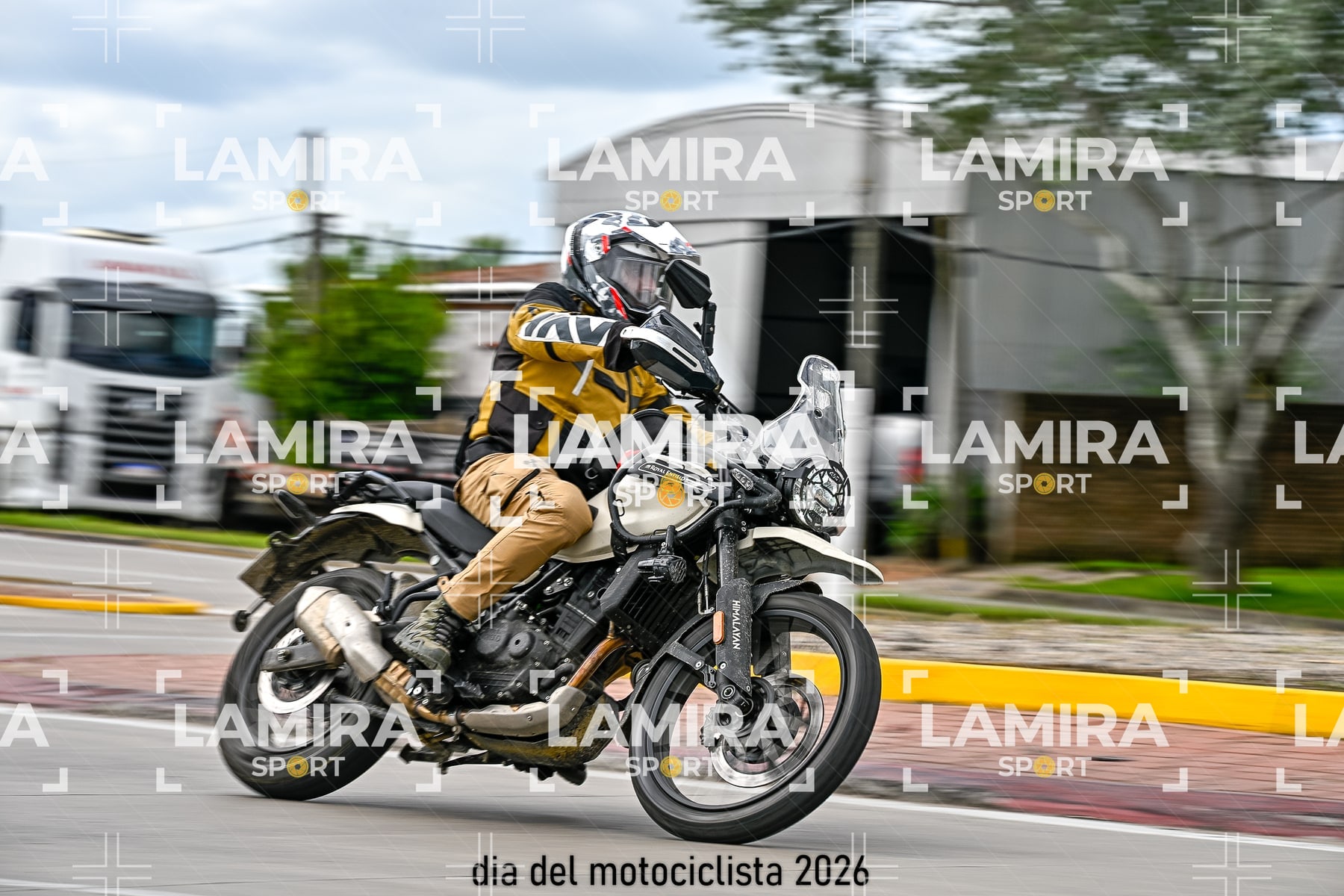 rotonda disa — BCD7388