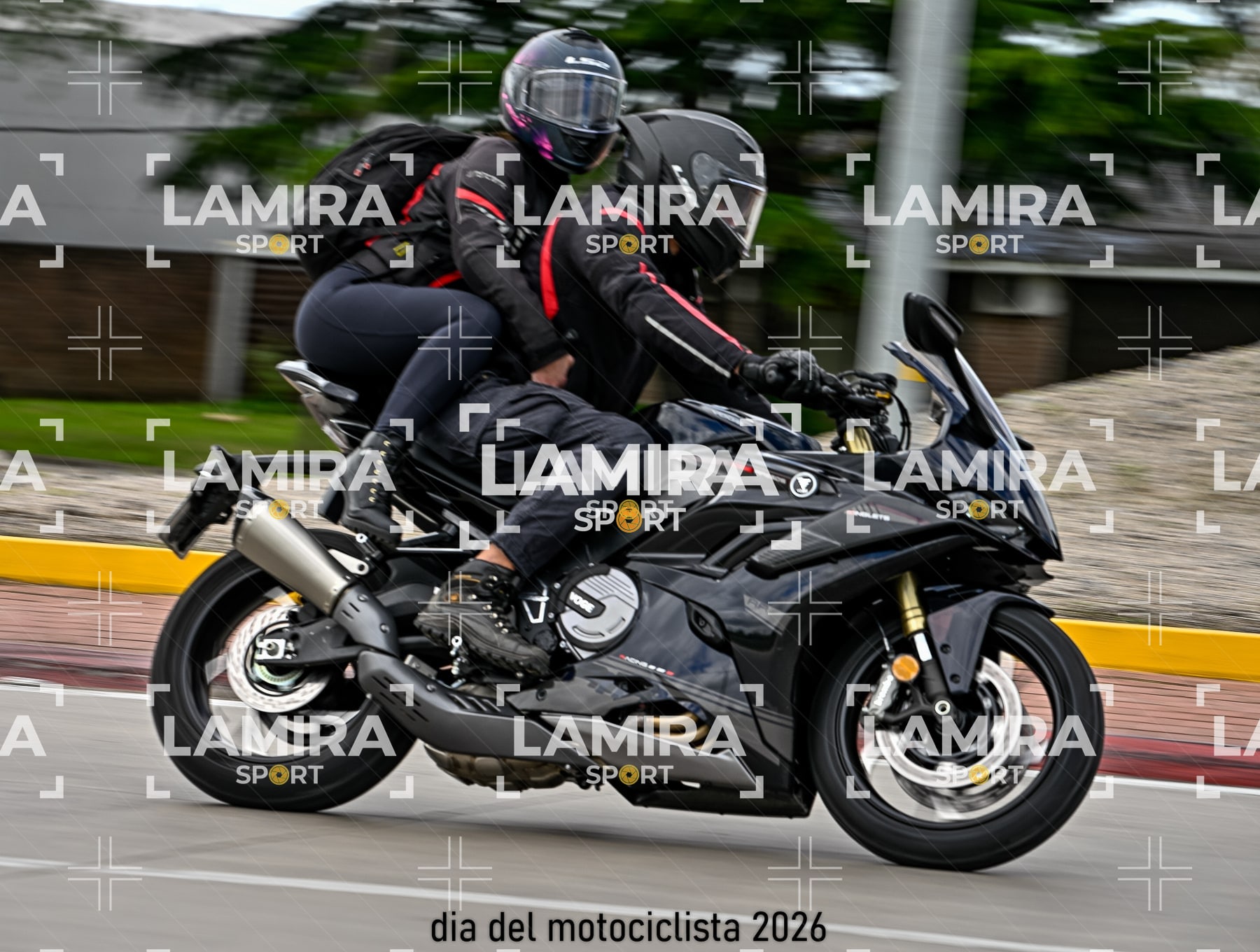 rotonda disa — BCD5406