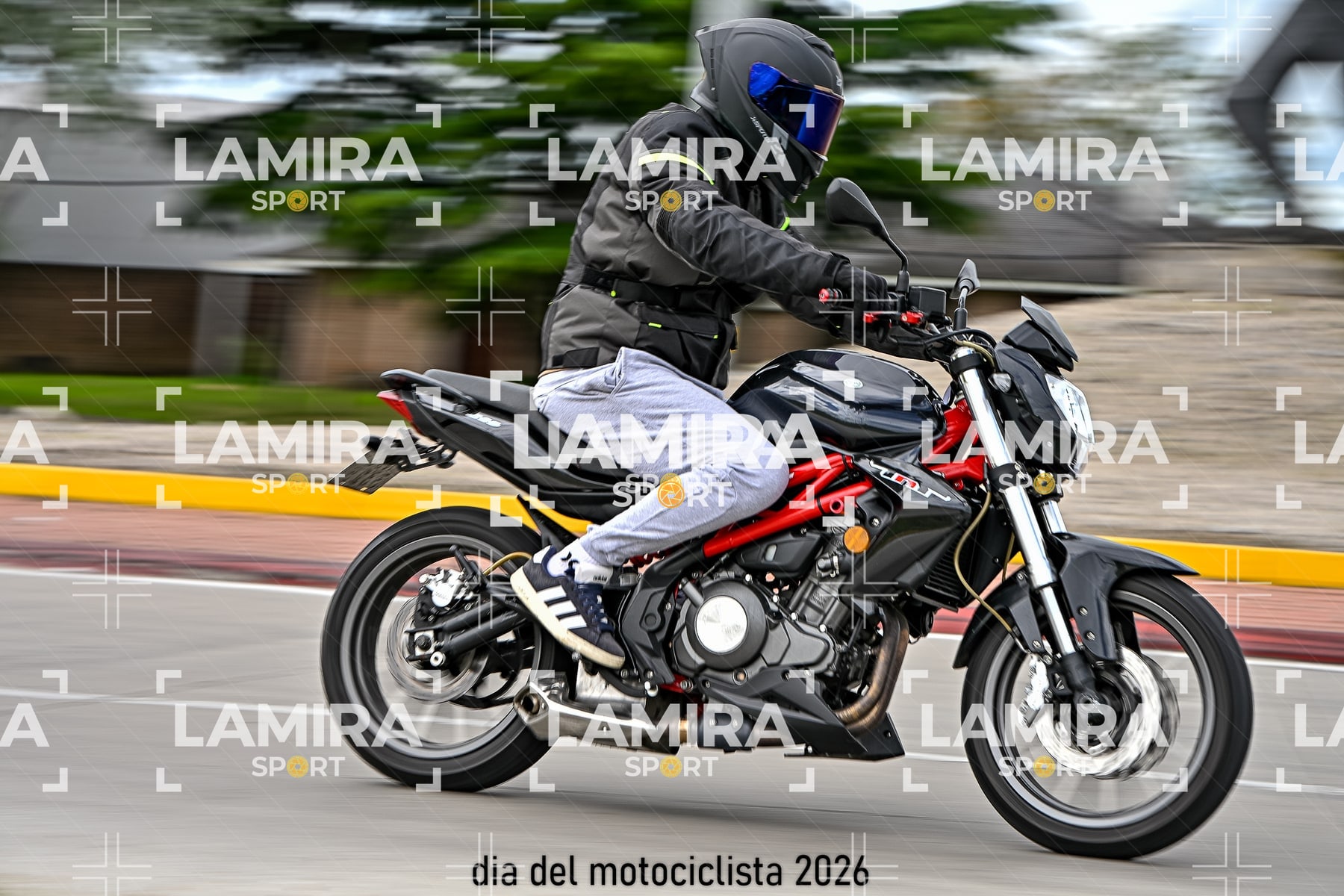 rotonda disa — BCD7447