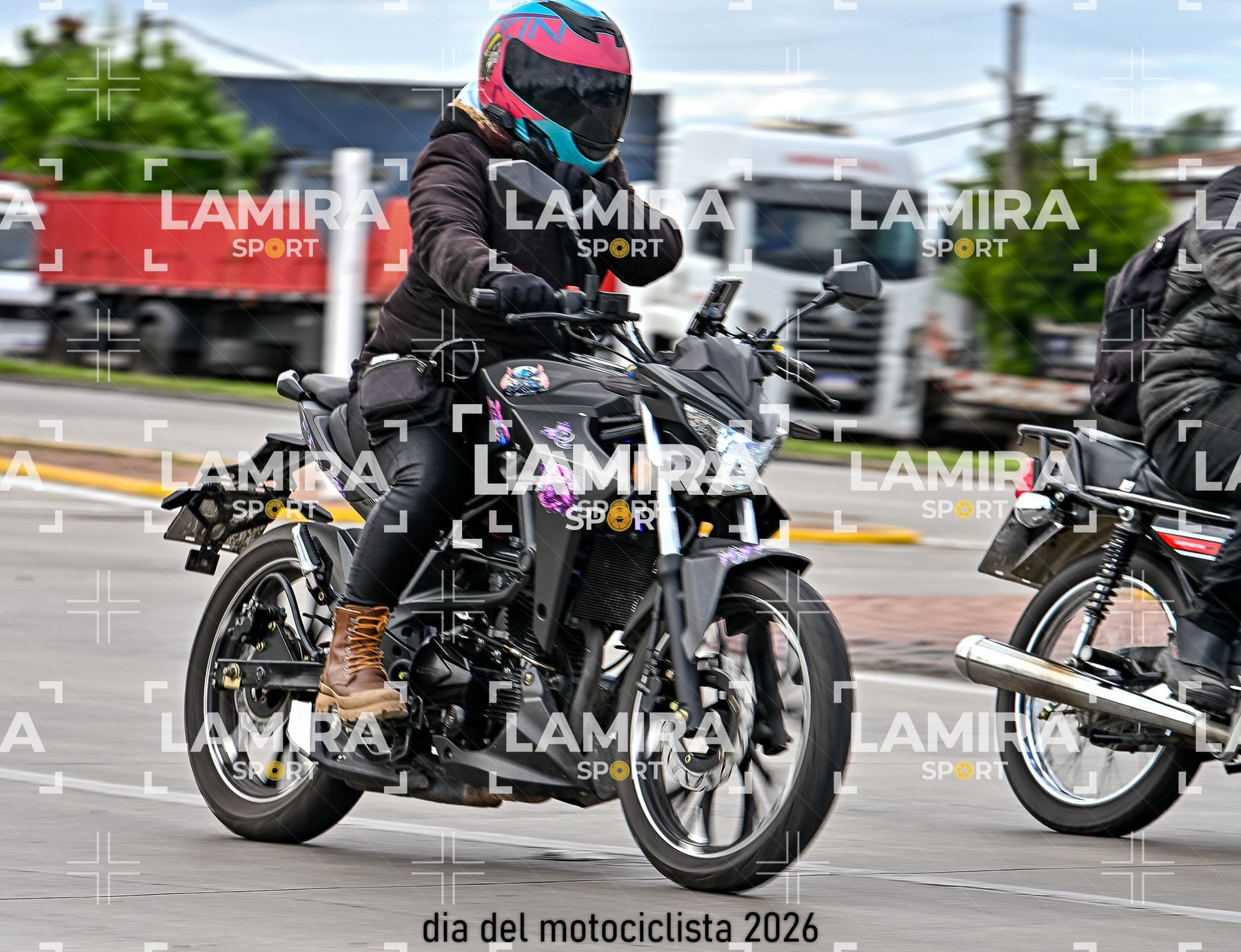 rotonda disa — BCD5461