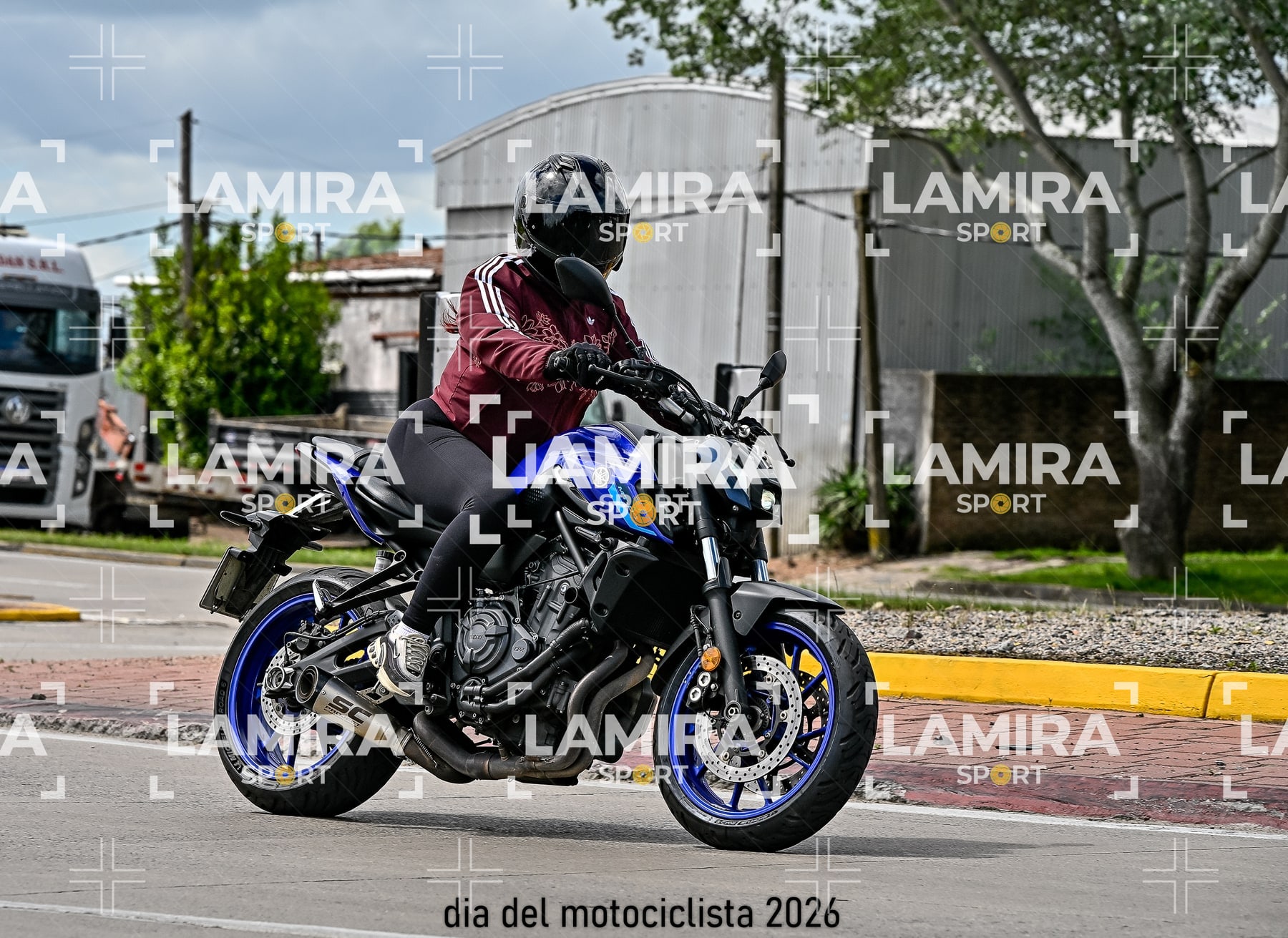 rotonda disa — BCD6523