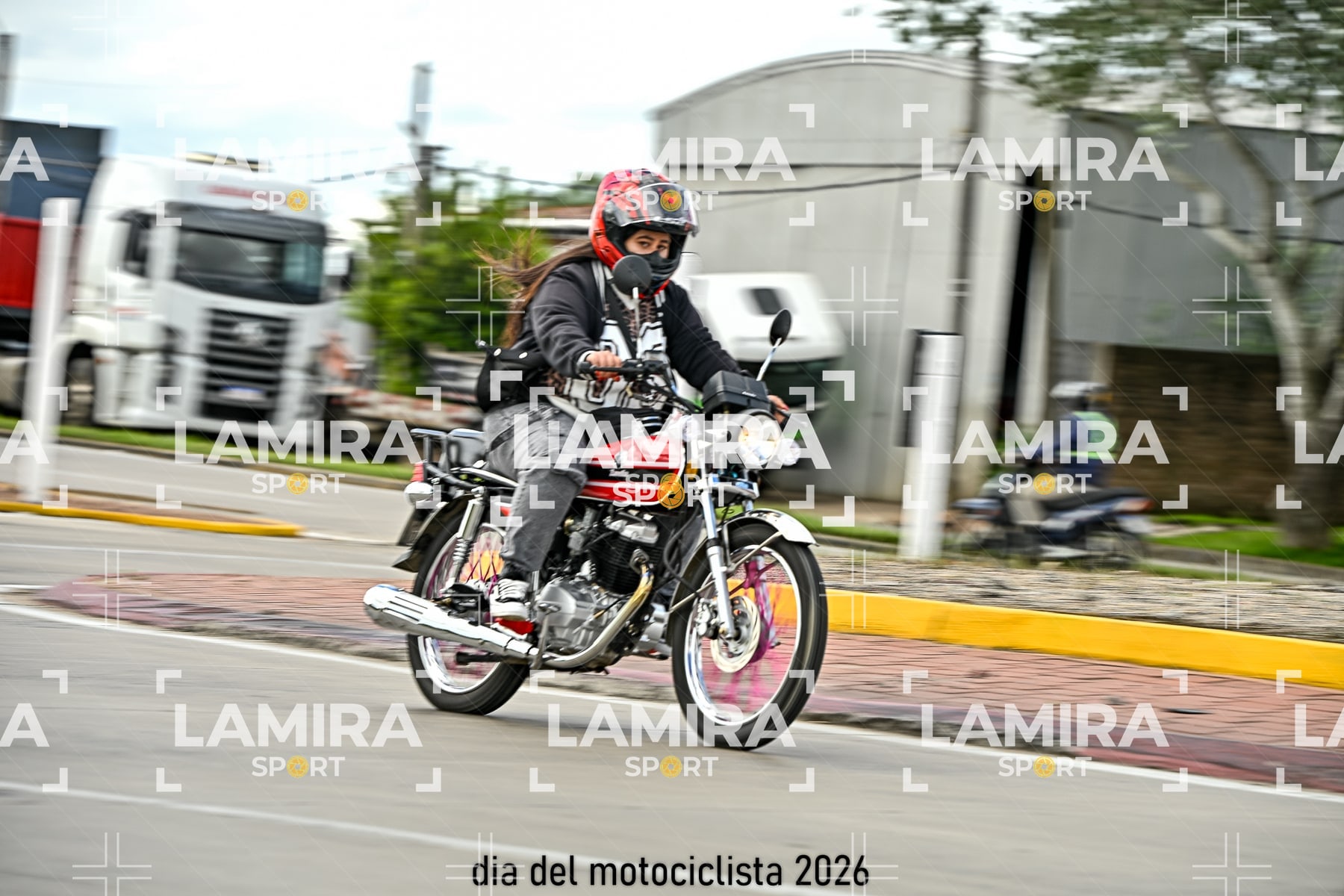 rotonda disa — BCD7103