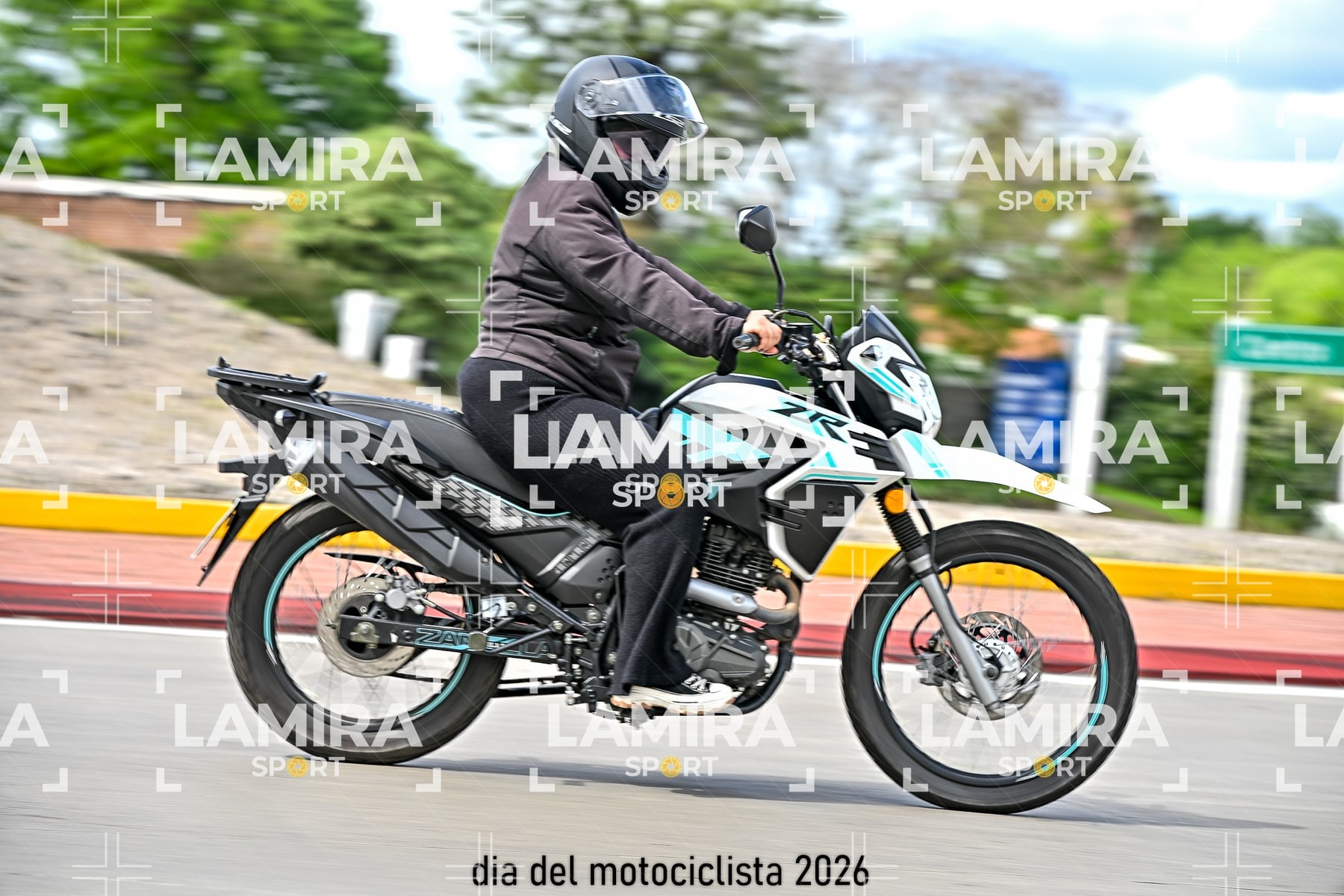 rotonda disa — BCD7175